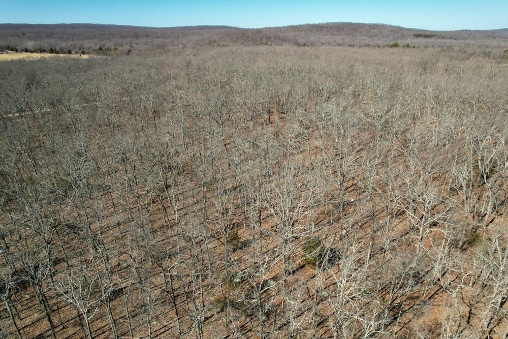 Doe Run, Saint Francois County, MO Recreational Property, Timberland