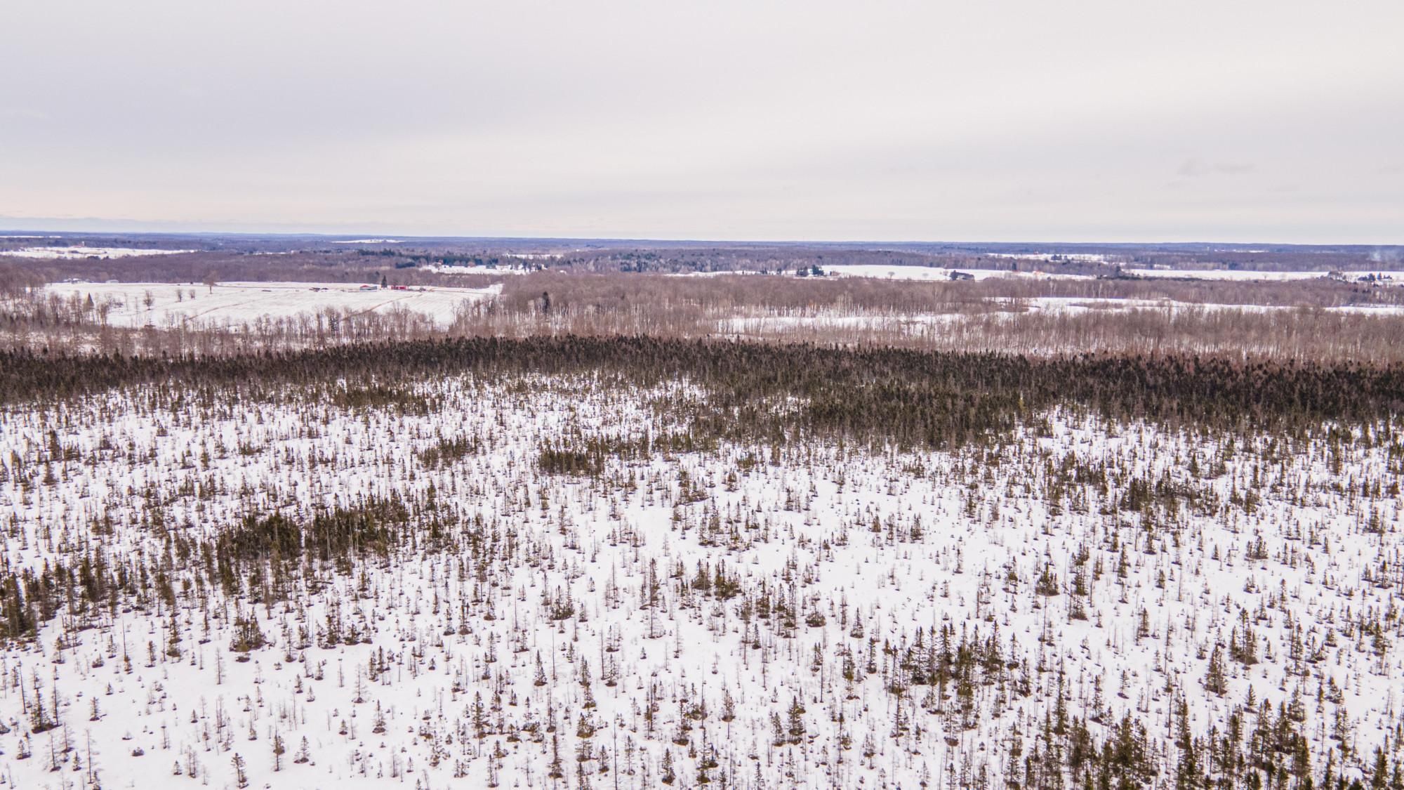 Cornell, Chippewa County, WI Recreational Property, Undeveloped Land