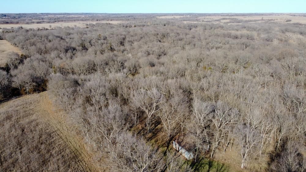 Welch, Craig County, OK Timberland Property, Undeveloped Land, Hunting