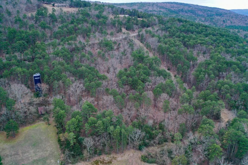 Danville, Yell County, AR Recreational Property, Undeveloped Land