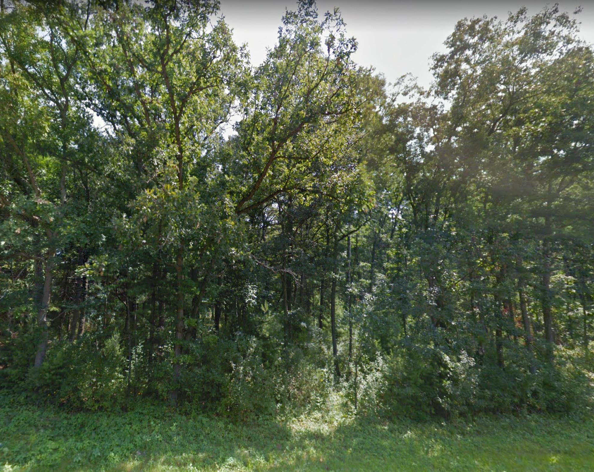 Friendship, Adams County, WI Recreational Property, Undeveloped Land