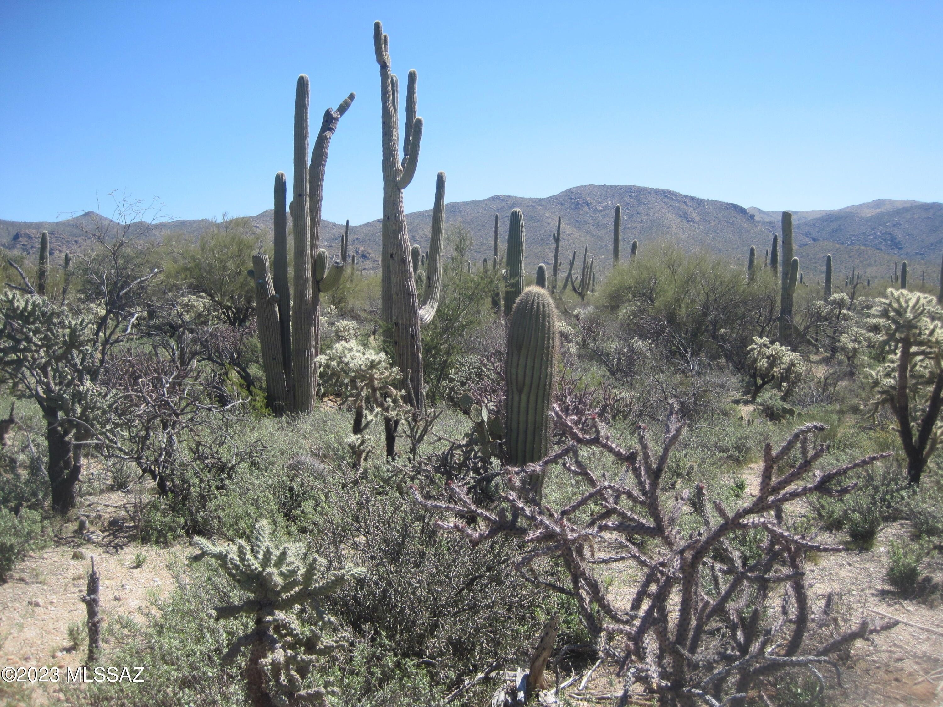 Marana, Pinal County, AZ Undeveloped Land for sale Property ID