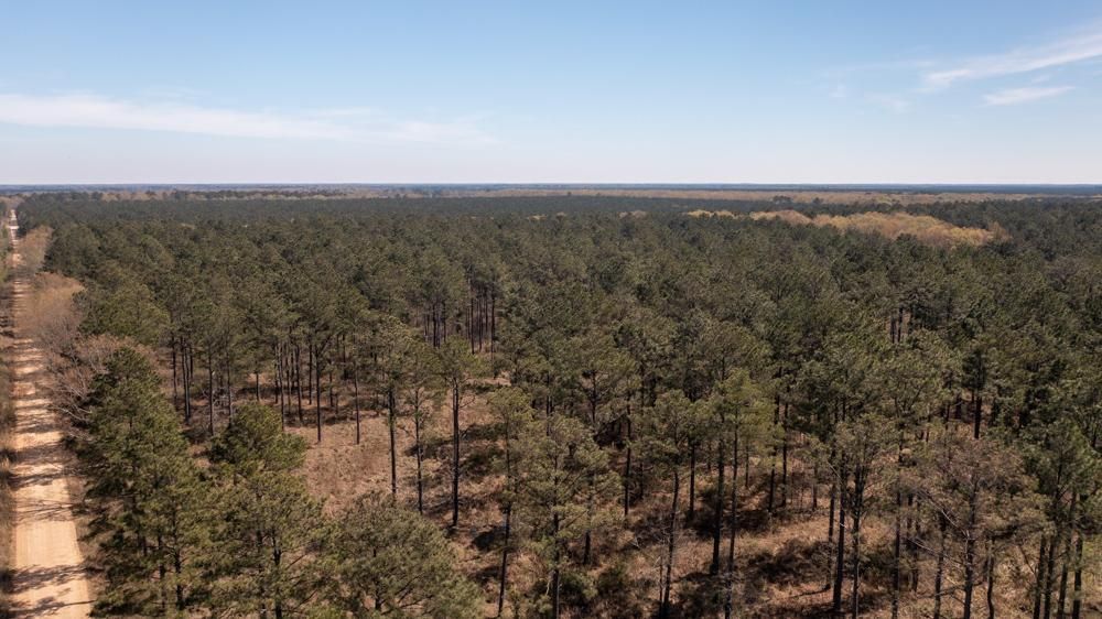 Monticello, Drew County, AR Farms and Ranches, Recreational Property