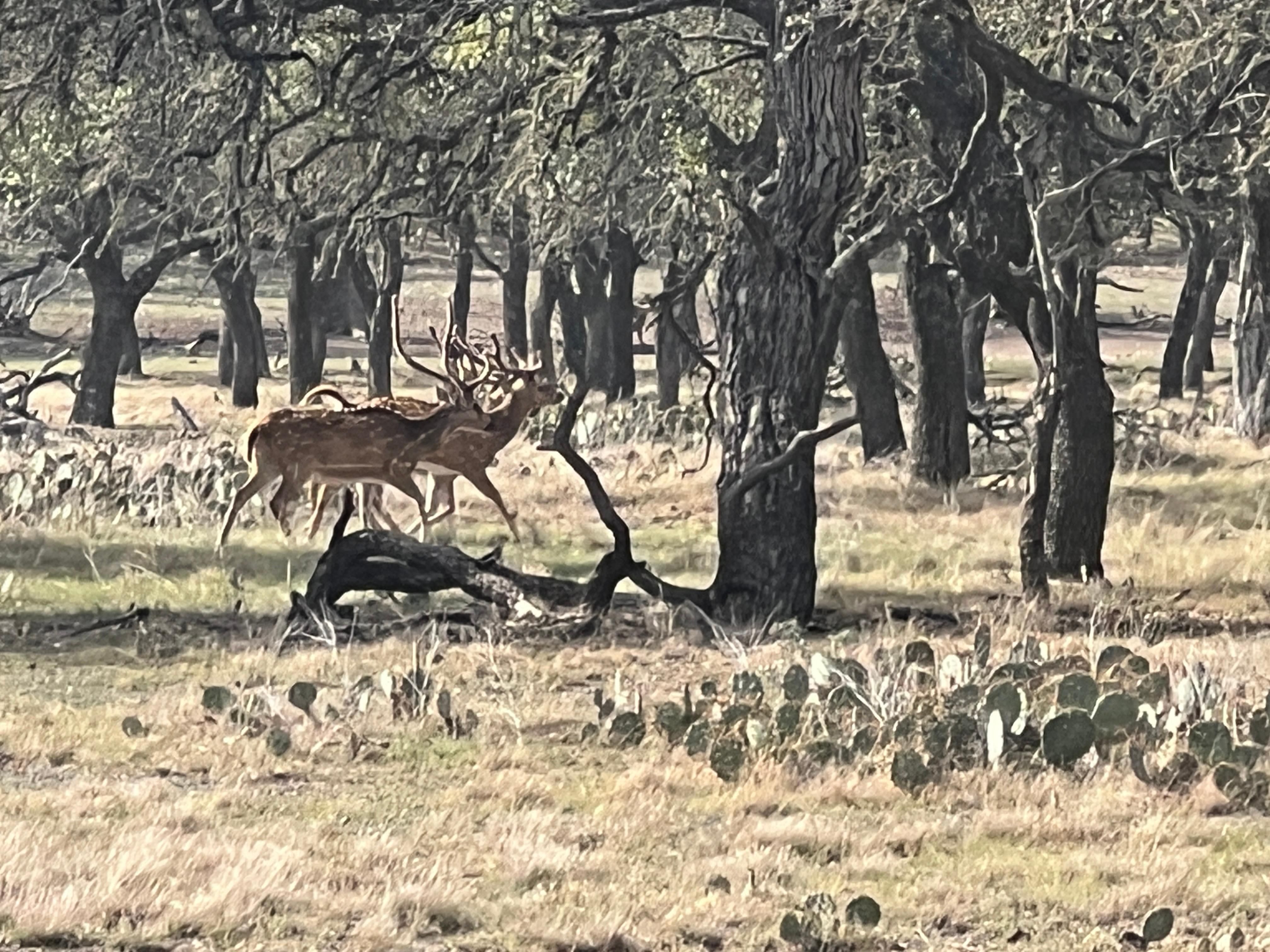 Brady, McCulloch County, TX Farms and Ranches, Recreational Property