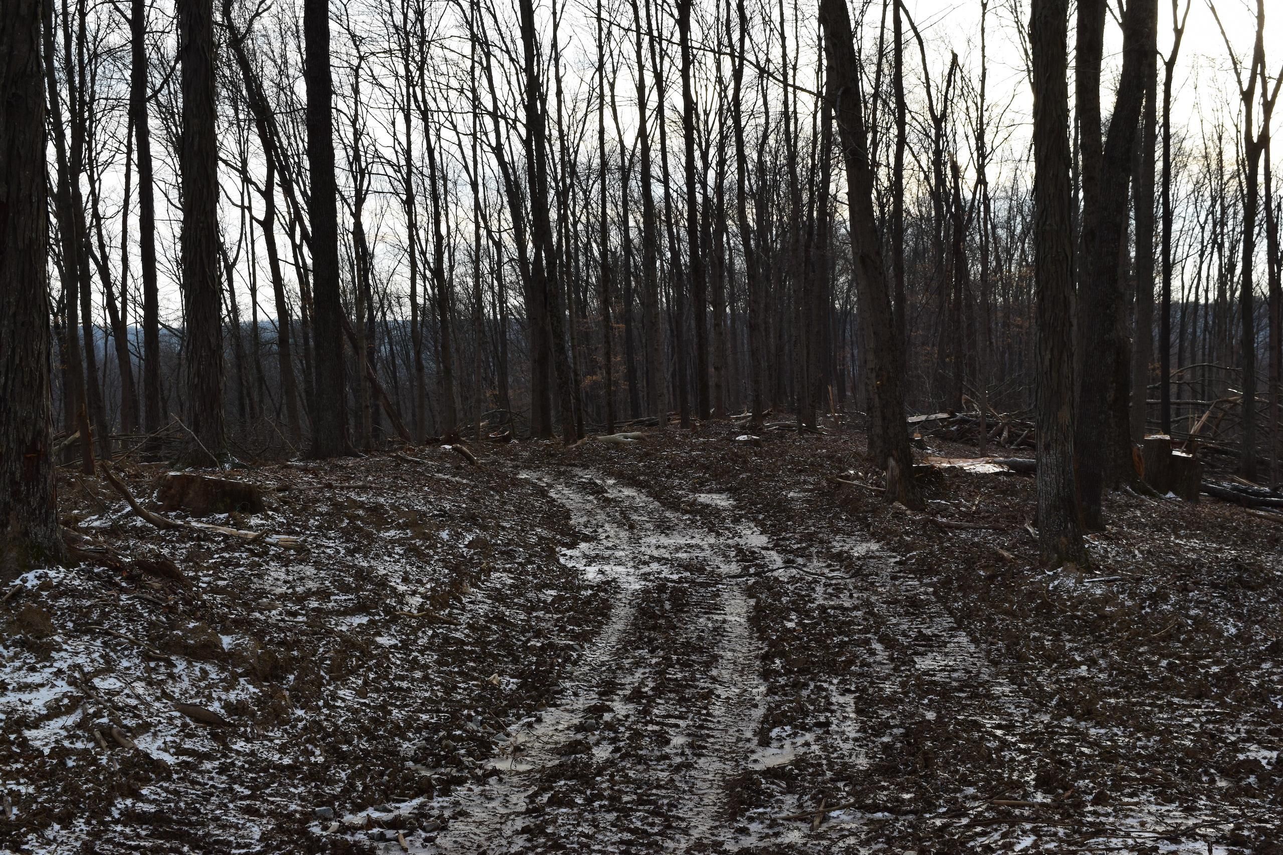 Campbellsburg, Washington County, IN Recreational Property, Timberland