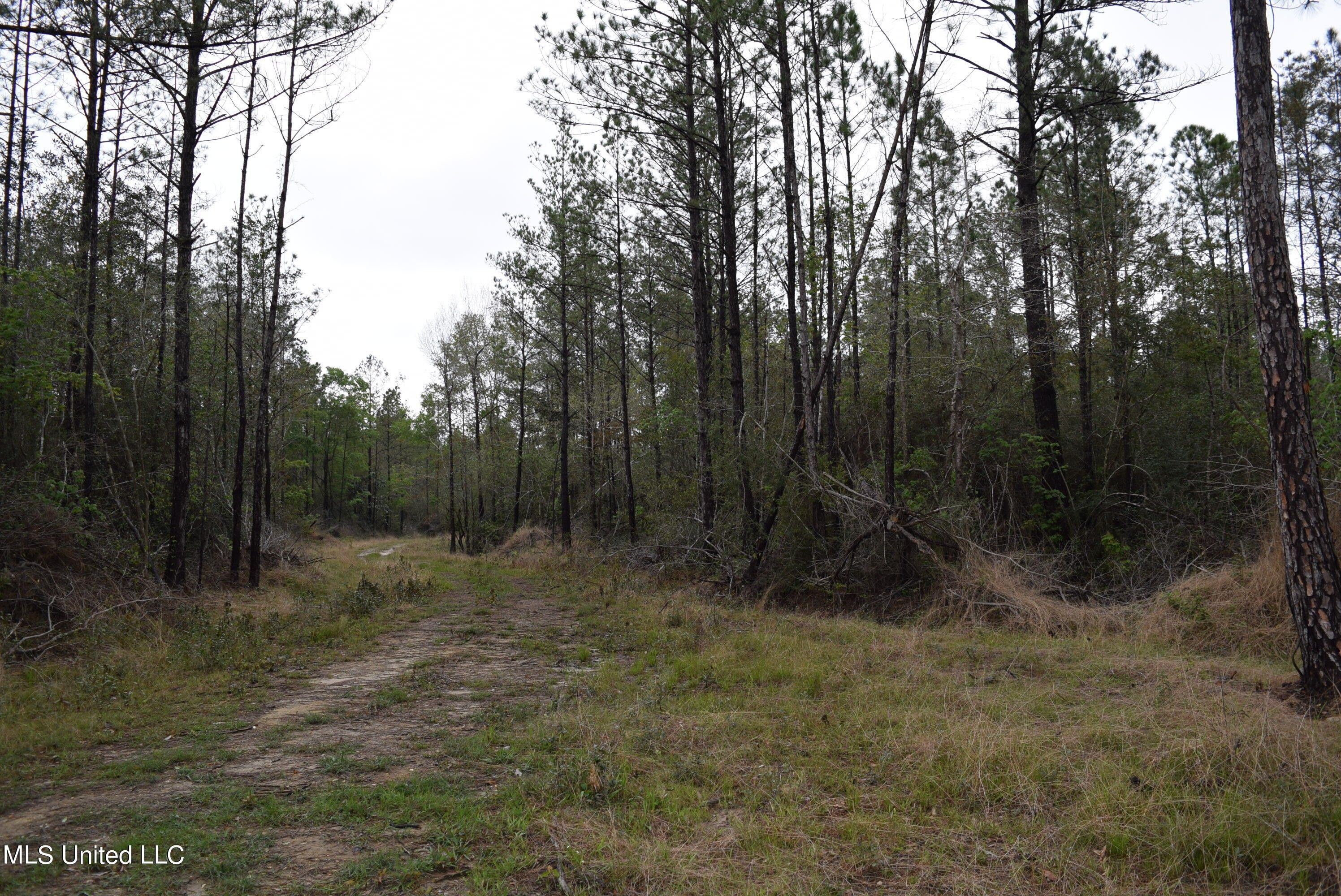 Perkinston, Hancock County, MS Undeveloped Land for sale Property ID