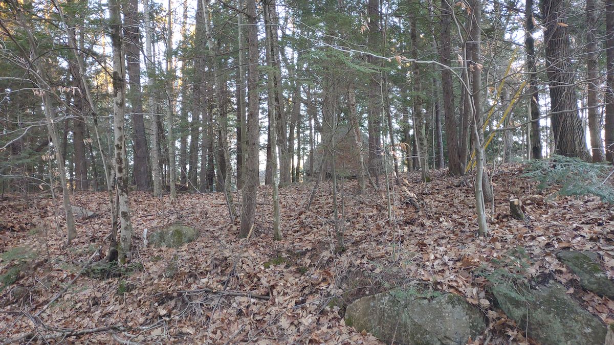 Hillsboro, Hillsborough County, NH Recreational Property, Undeveloped