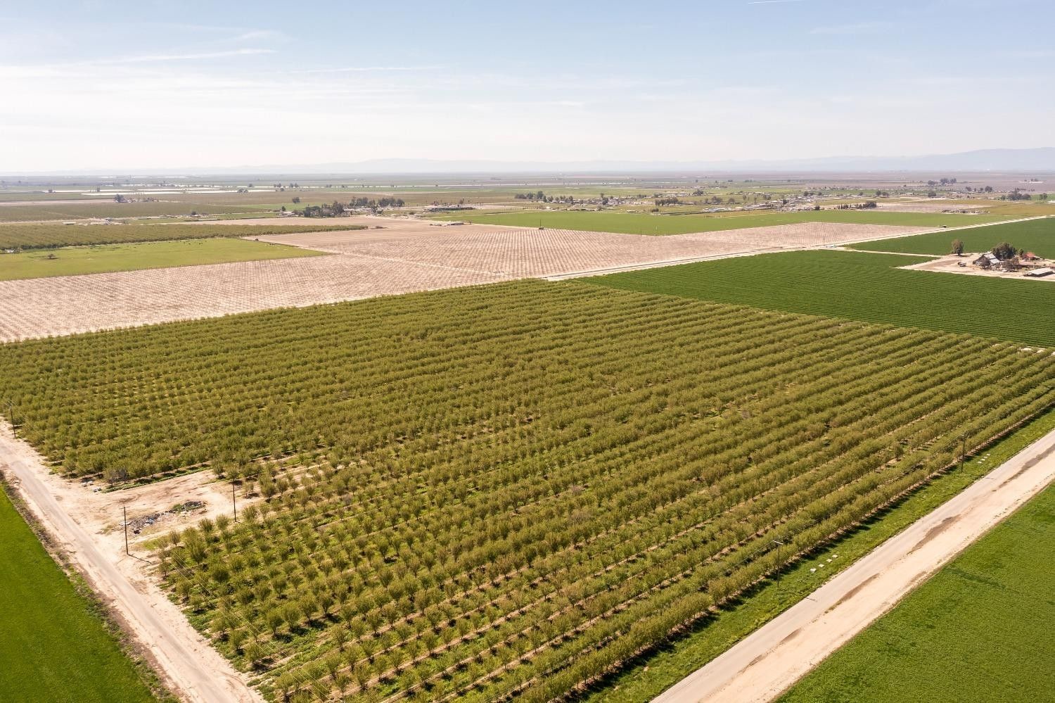 Riverdale, Fresno County, CA Farms and Ranches for sale Property ID