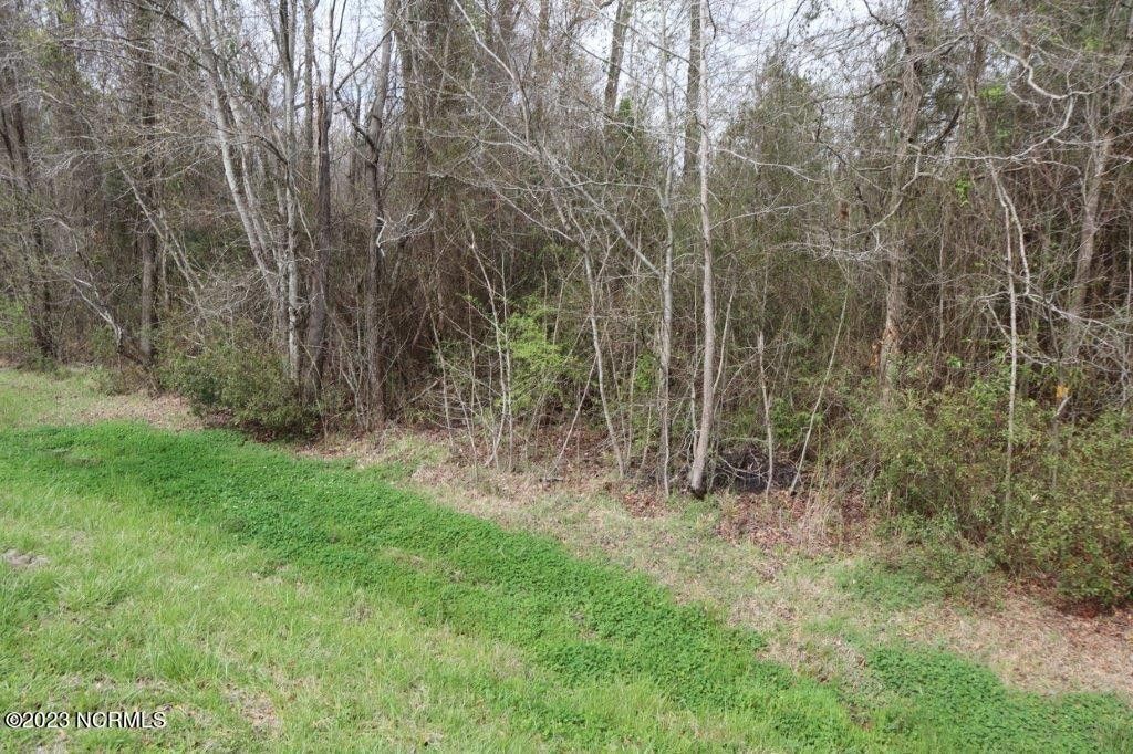 Beaufort County, NC Undeveloped Land for sale Property ID