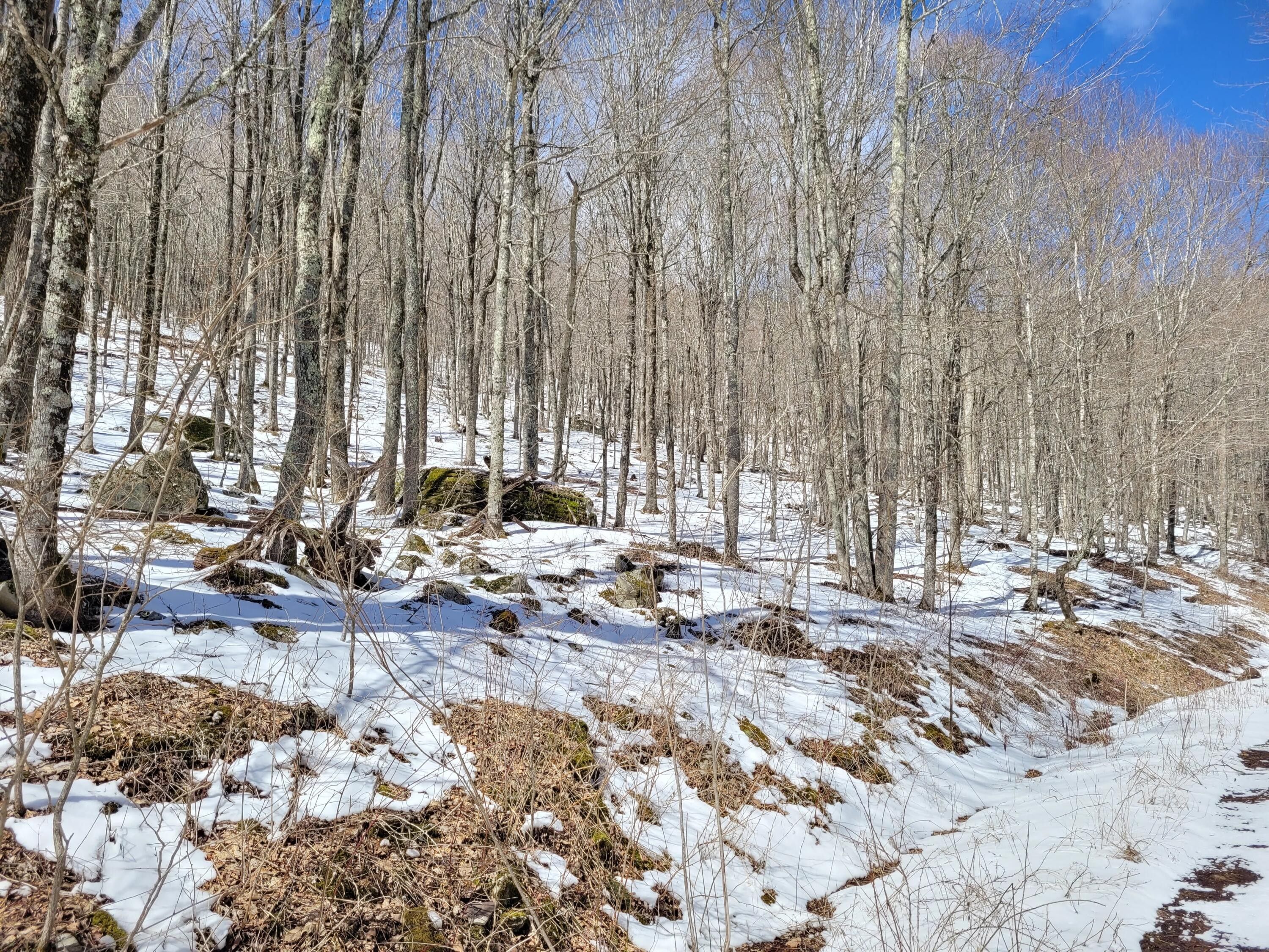 Snowshoe, Pocahontas County, WV Farms and Ranches, Homesites for sale