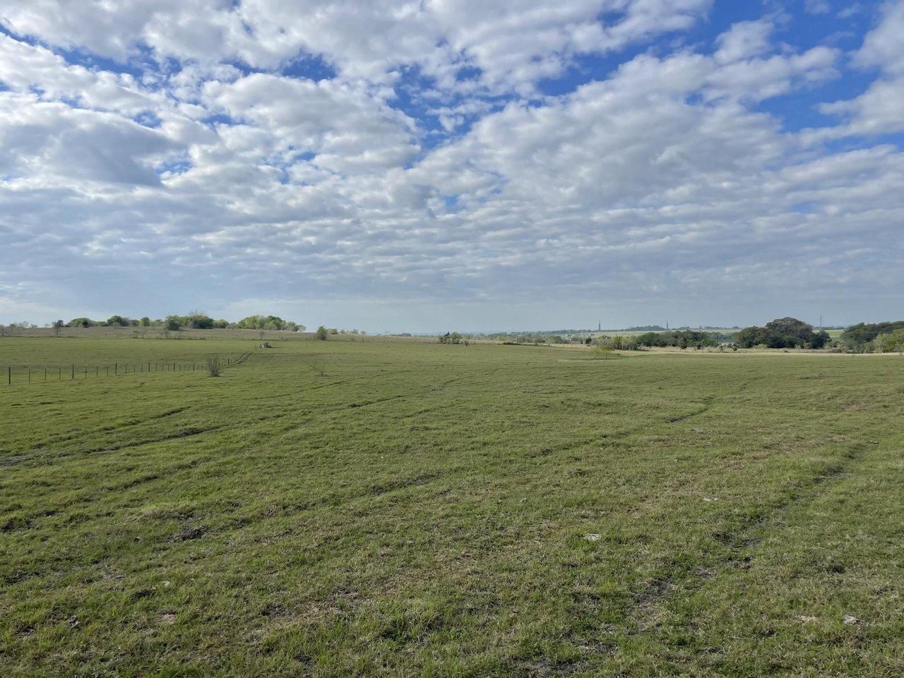 Flatonia, Fayette County, TX Farms and Ranches, Undeveloped Land for