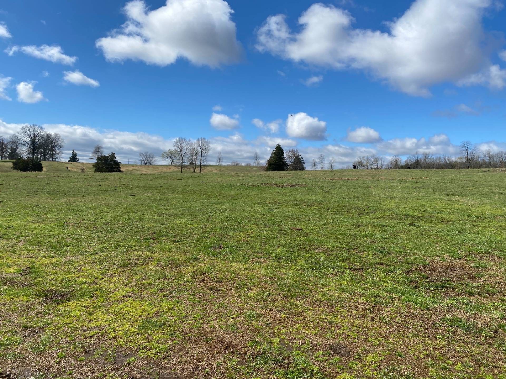 Warm Springs, Randolph County, AR Farms and Ranches for sale Property