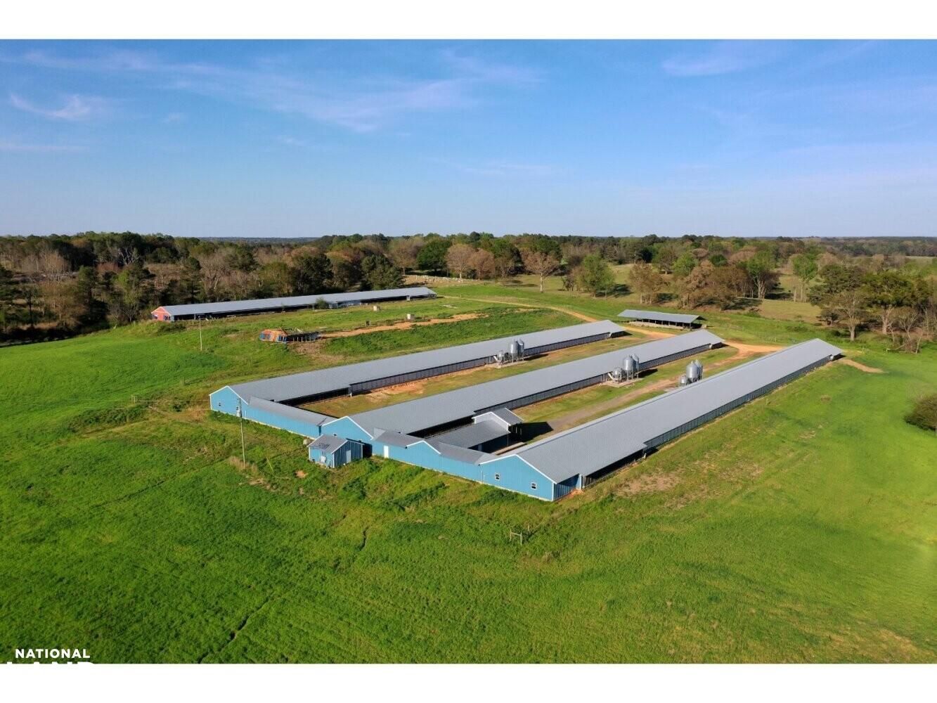 Lena, Scott County, MS Farms and Ranches, House for sale Property ID 415800915 LandWatch