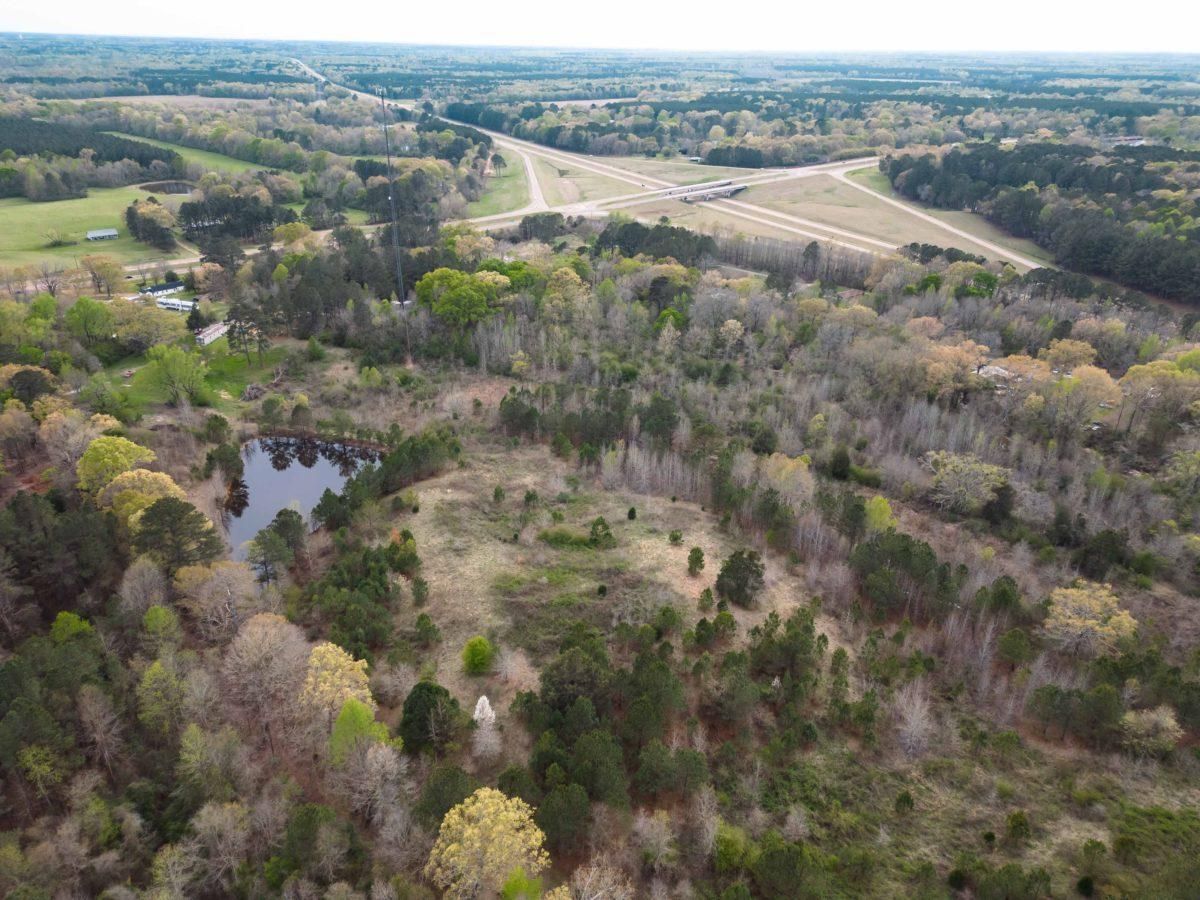 Carthage, Leake County, MS Recreational Property, Timberland Property