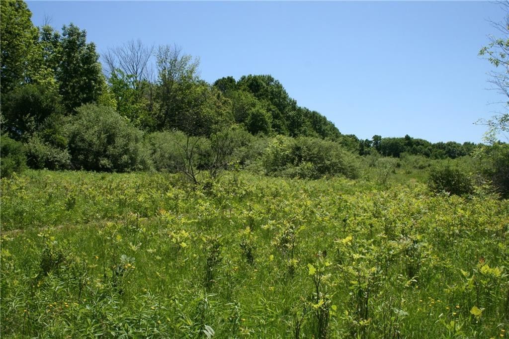 Honeoye Falls, Monroe County, NY Undeveloped Land for sale Property ID