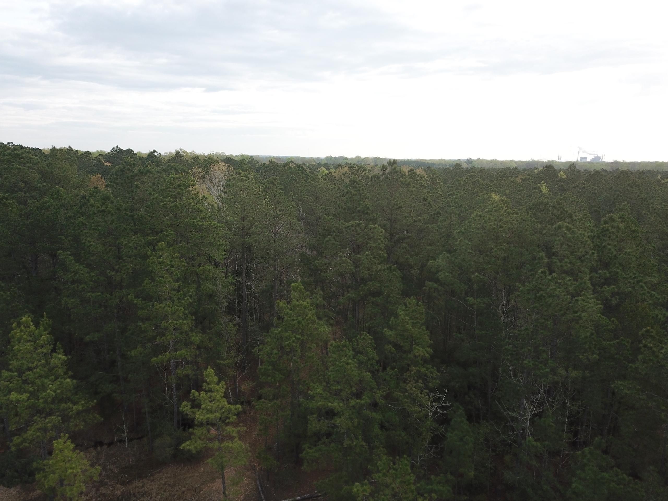 Jonesboro, Jackson Parish, LA Recreational Property, Timberland Property, Hunting Property for