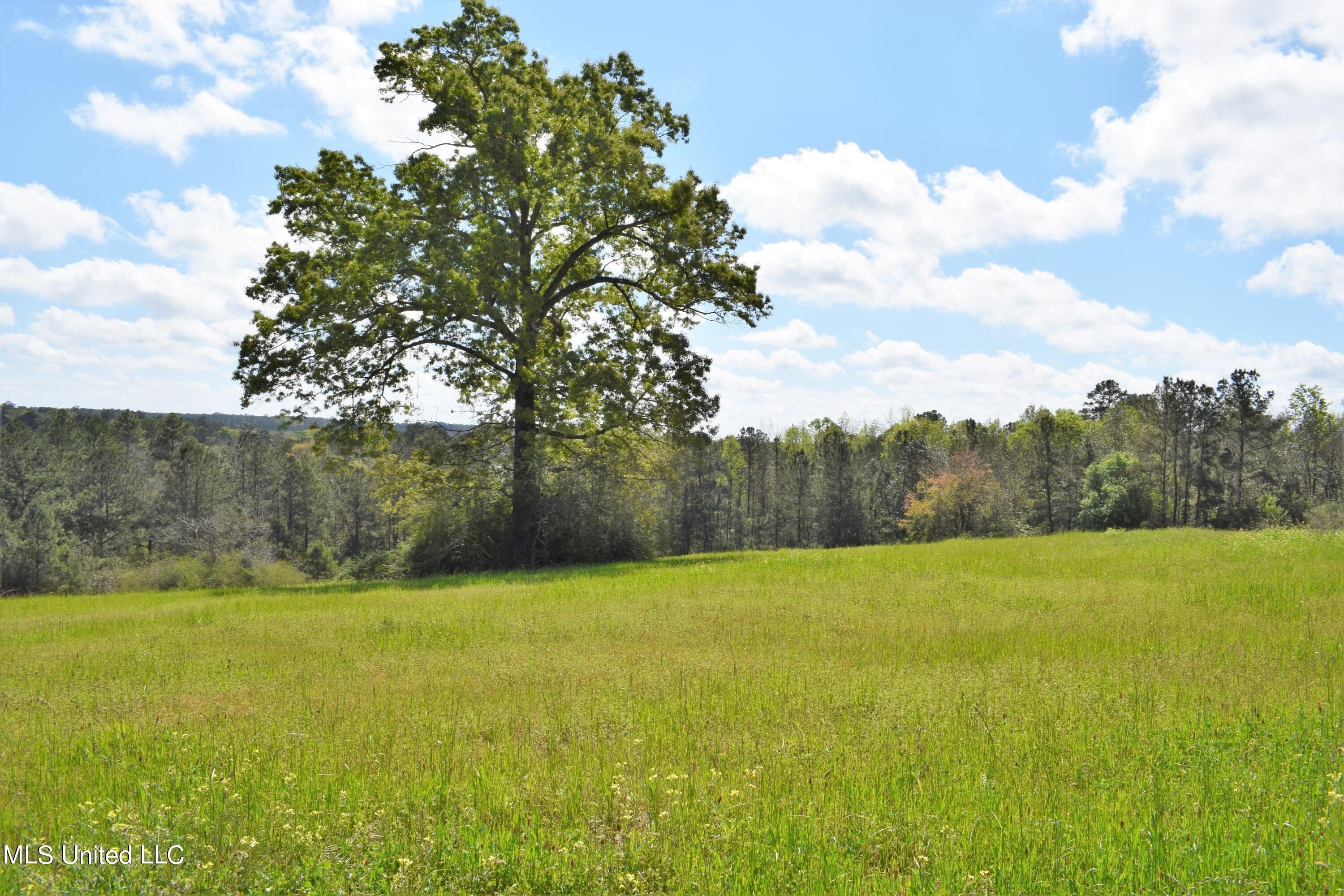 21 +/ Ac Ms26, Lucedale, MS 39452 MLS 4043394 LandWatch