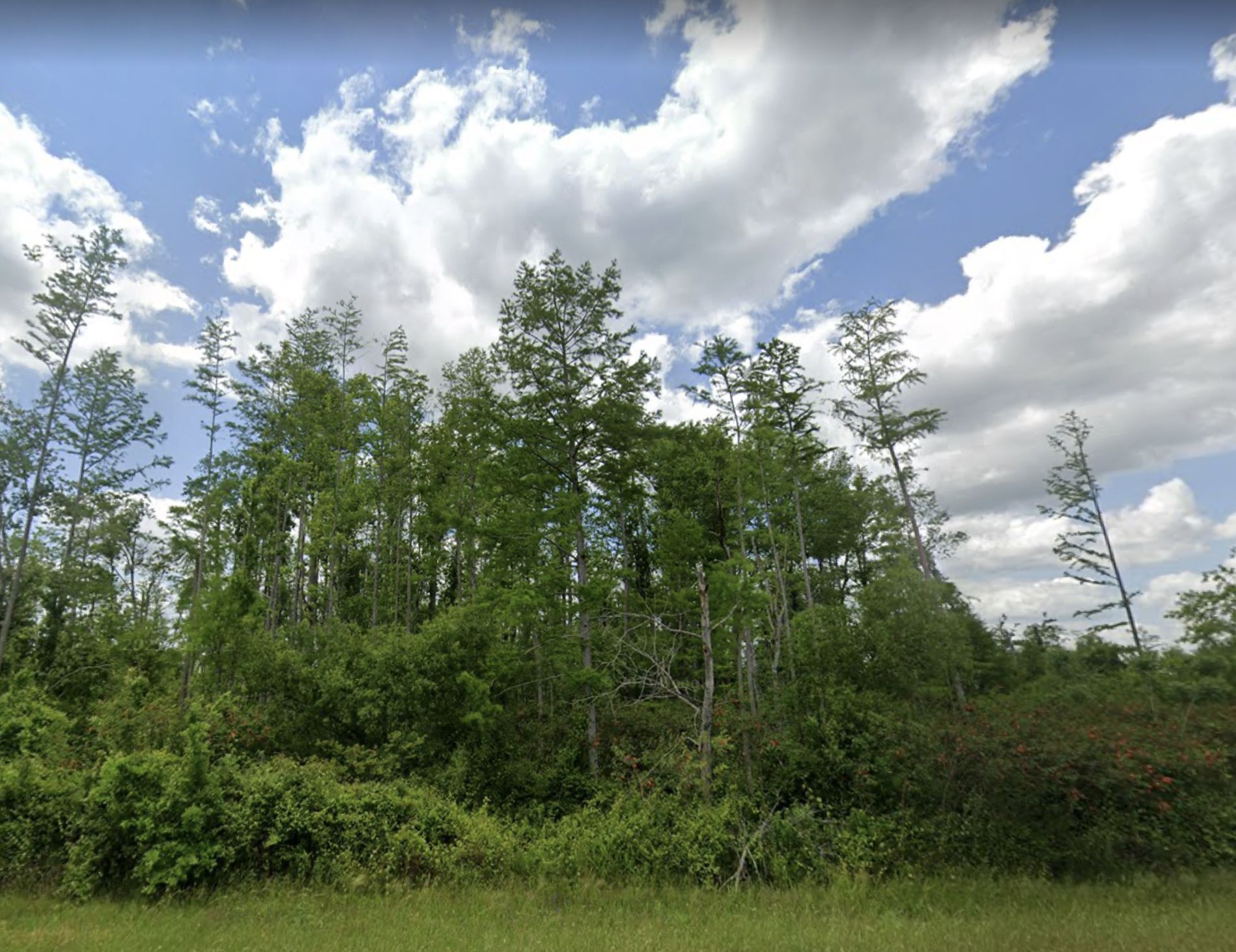 Round Lake, Jackson County, FL Recreational Property, Undeveloped Land