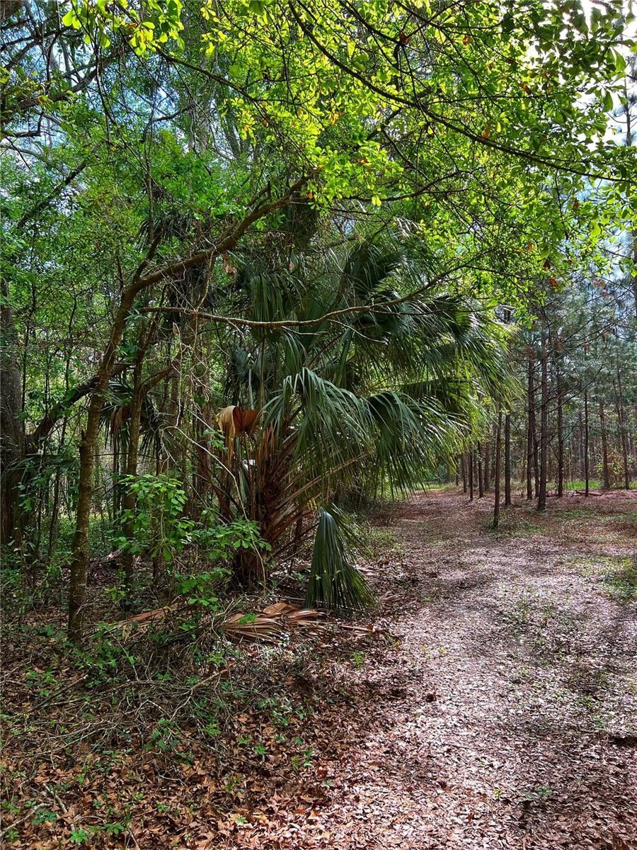 Live Oak, Suwannee County, FL Farms and Ranches for sale Property ID
