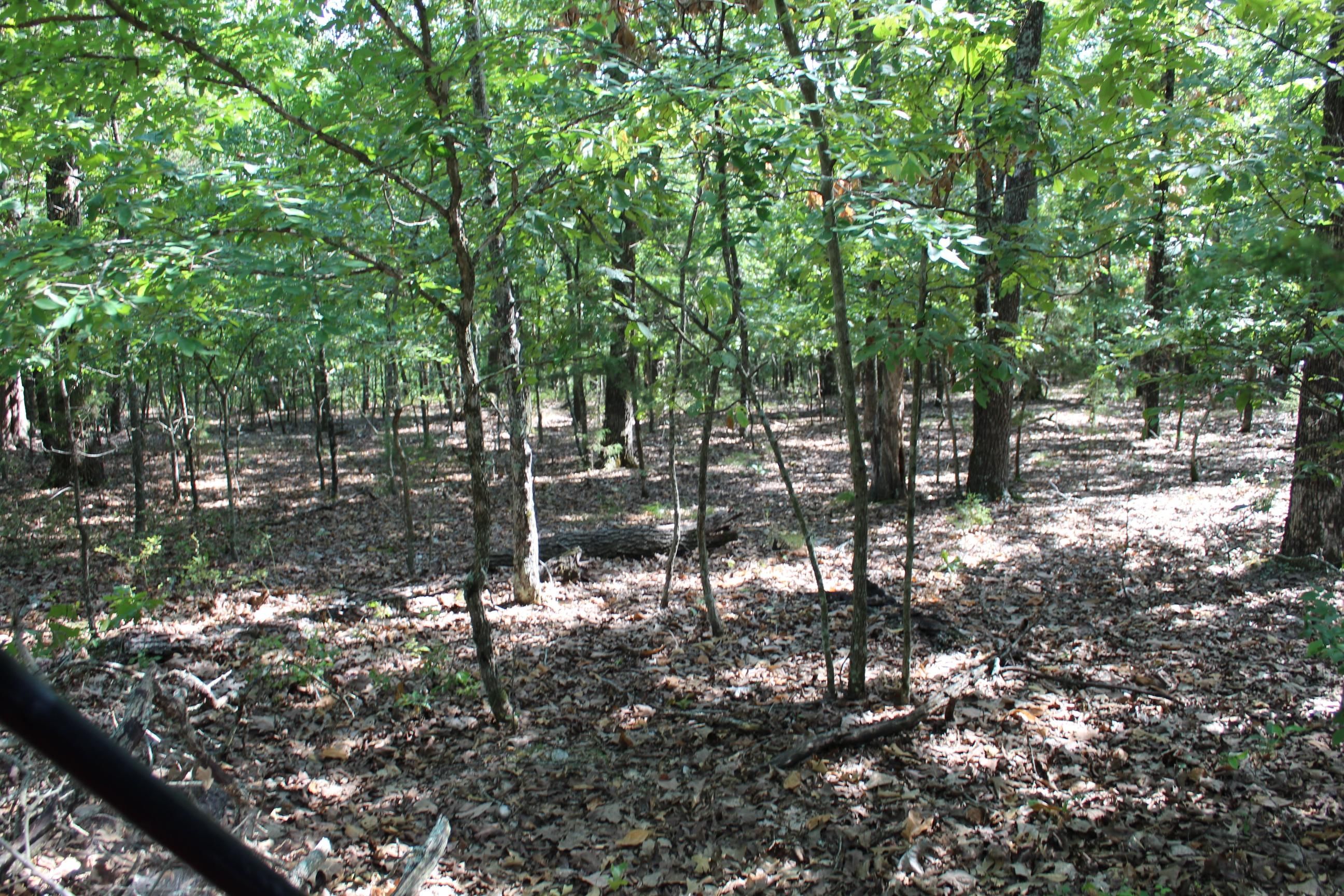 Eagle Ridge Road, Protem, MO 65733 MLS 60237366 LandWatch