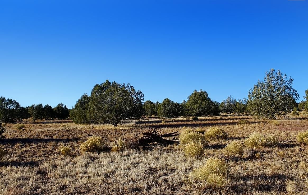 Ash Fork, Coconino County, AZ Recreational Property, Undeveloped Land