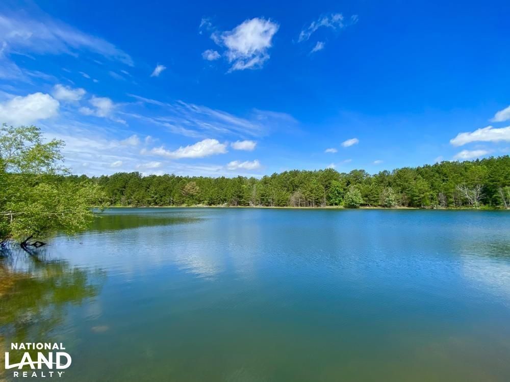 Aliceville, Sumter County, AL Recreational Property, Timberland