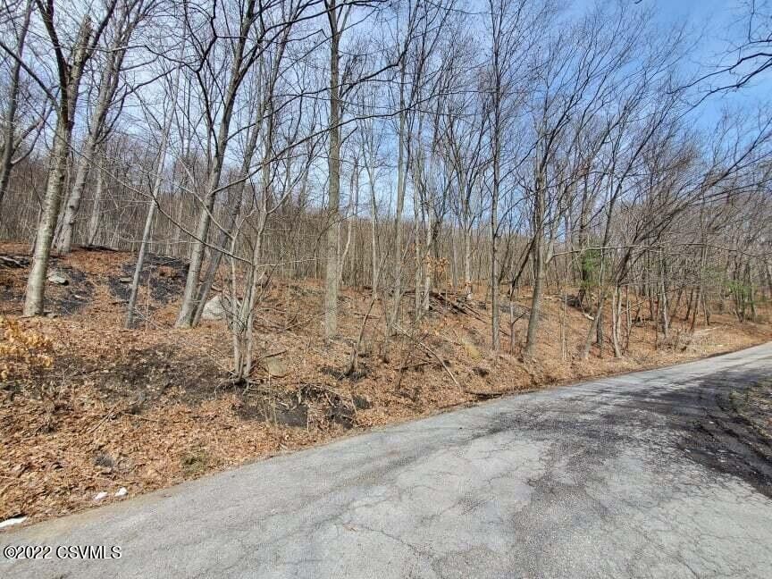 Trevorton, Northumberland County, PA Undeveloped Land for sale Property ID 416137297 LandWatch