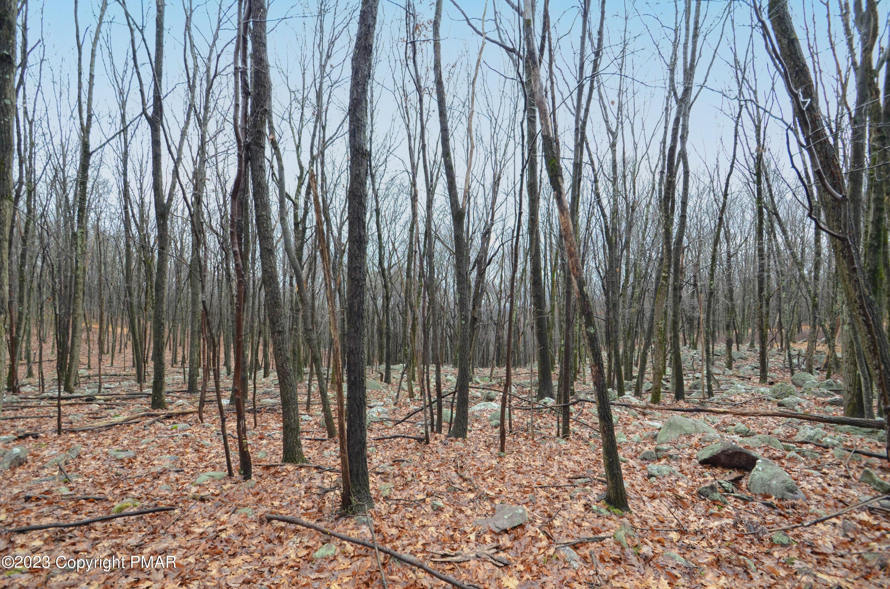 Albrightsville, Carbon County, PA Undeveloped Land for sale Property ID