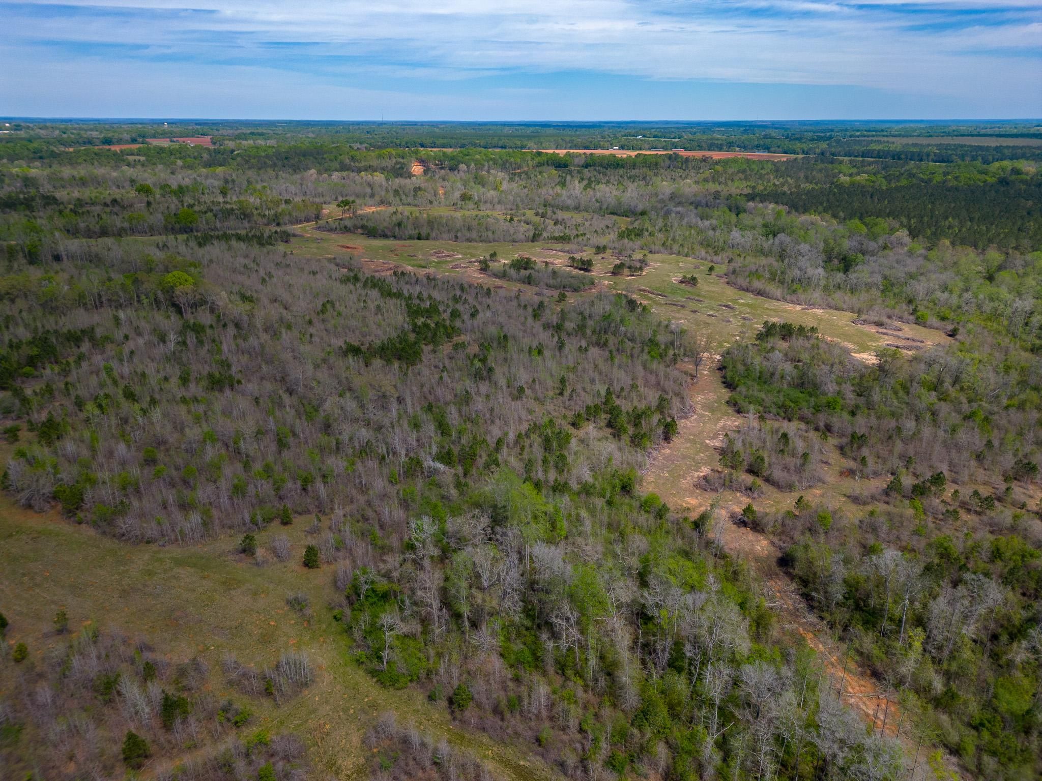 890 acres in Richland, GA, 31825 LandWatch