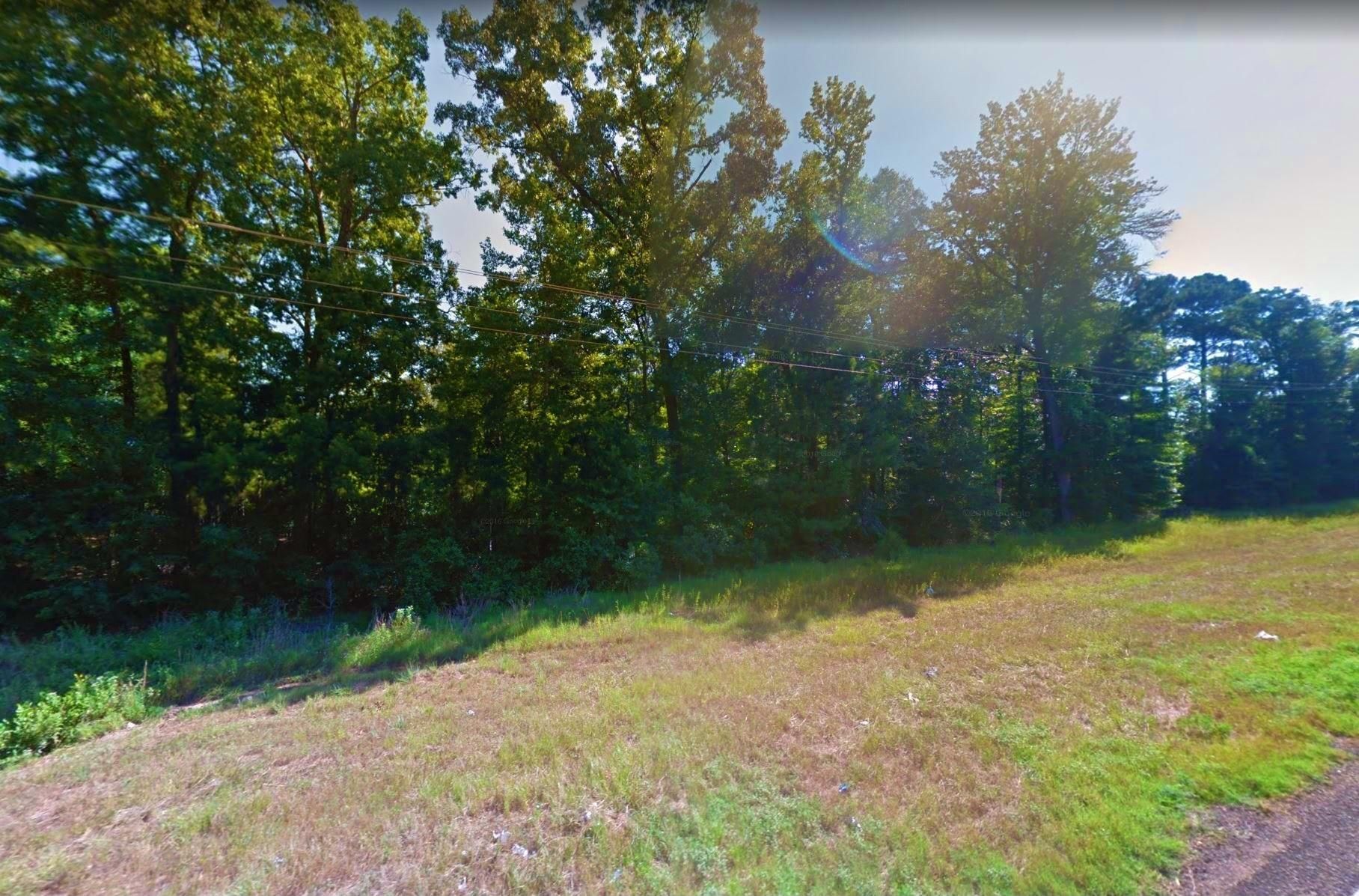 Avinger, Marion County, TX Recreational Property, Undeveloped Land