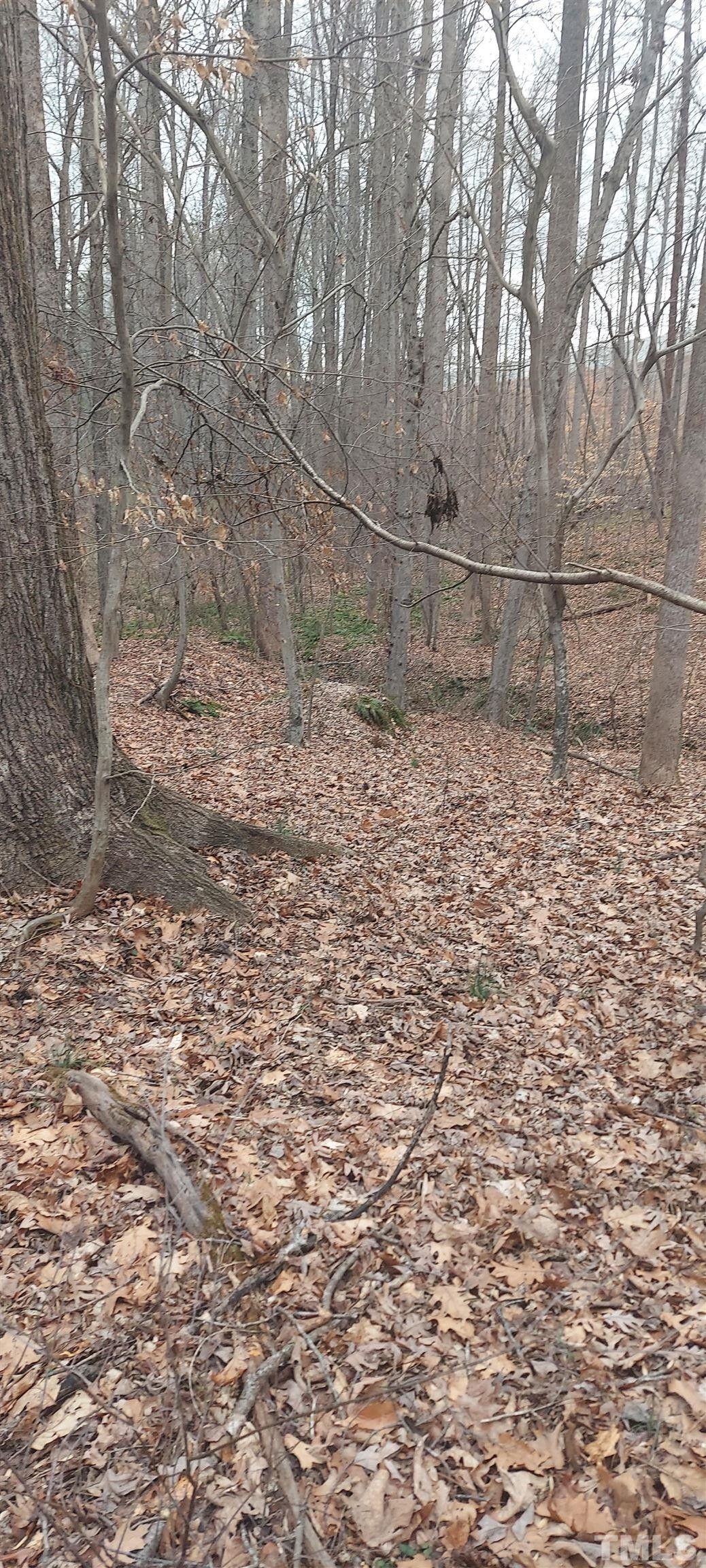 Kernersville, Forsyth County, NC Undeveloped Land, Homesites for sale Property ID 416141372