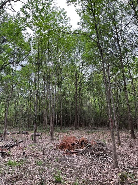 Conroe, Montgomery County, TX Farms and Ranches, Homesites for sale Property ID 416141428