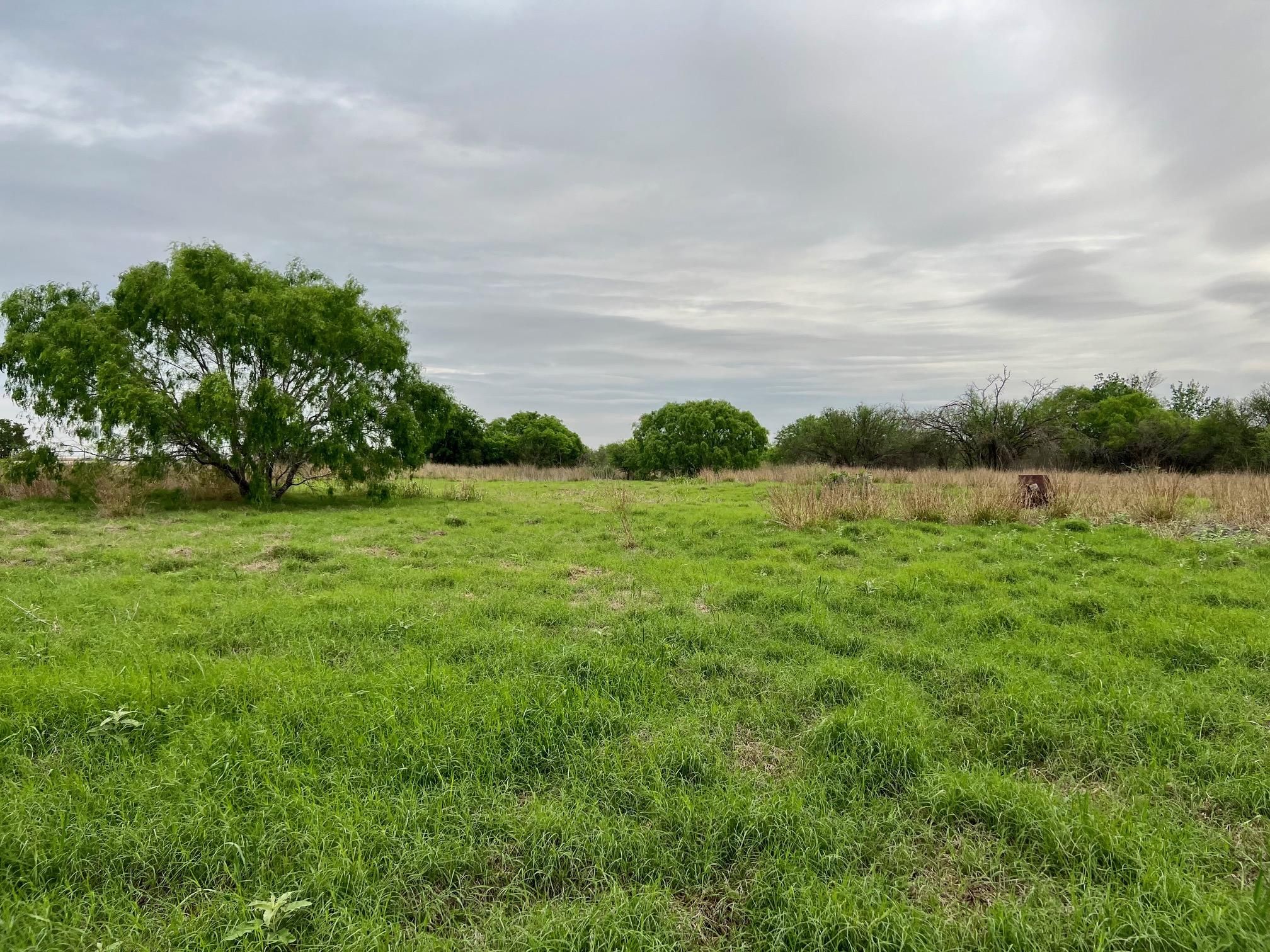 39.03 acres in Kenedy, TX, 78119 MLS 1676436 LandWatch