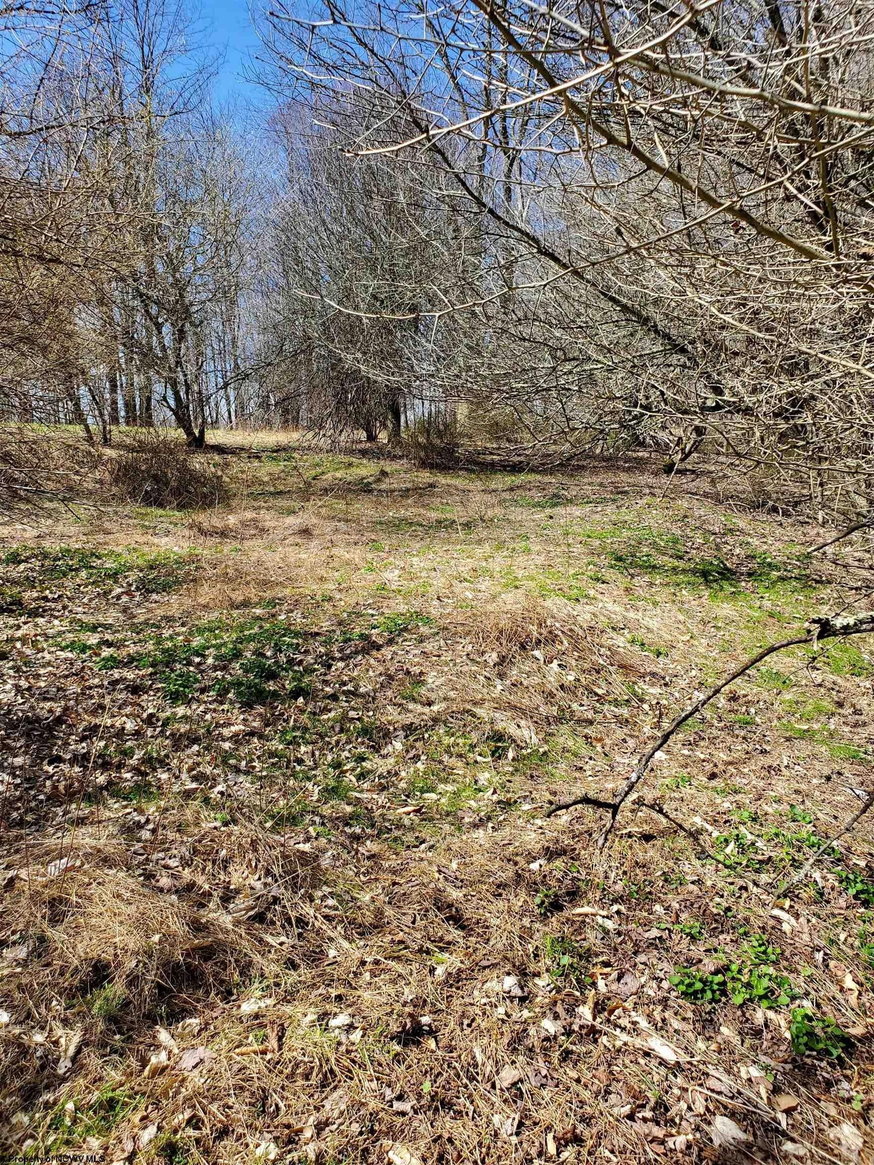 Dryfork, Randolph County, WV Undeveloped Land, Homesites for sale