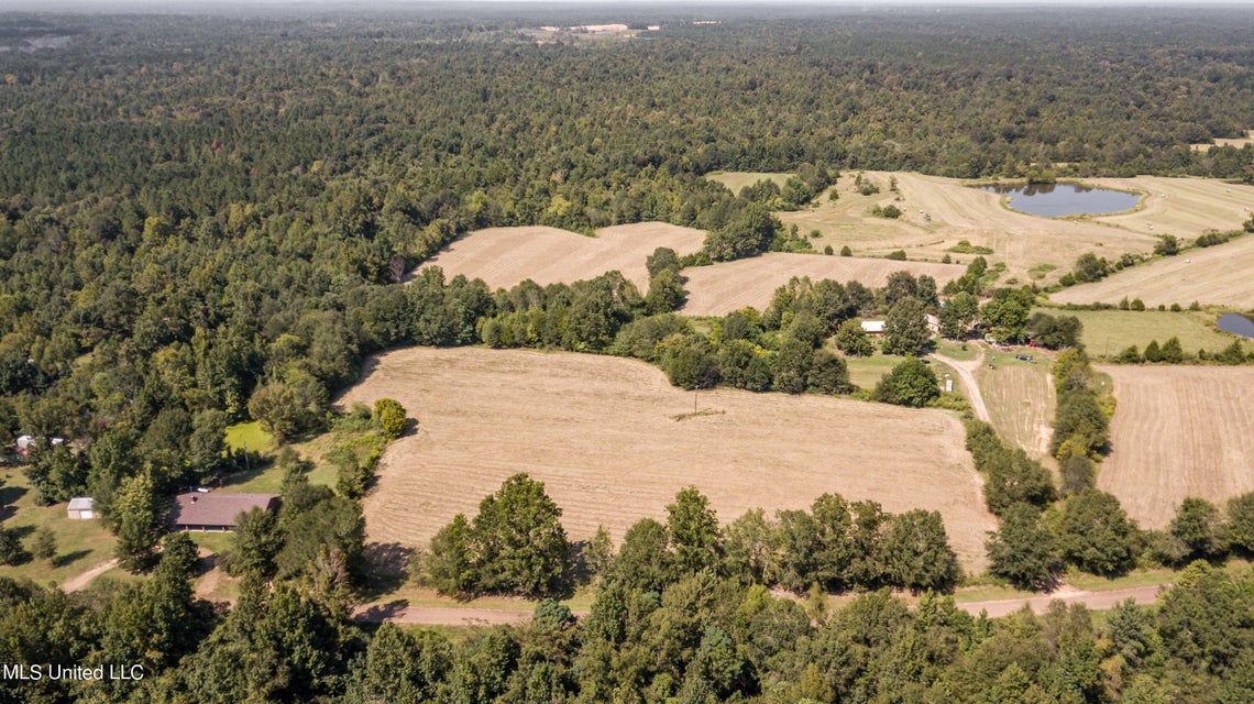 Benton, Yazoo County, MS Undeveloped Land, Hunting Property for sale