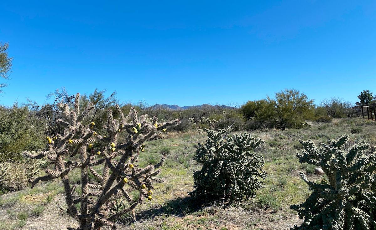 Tucson, Pima County, AZ Recreational Property, Undeveloped Land