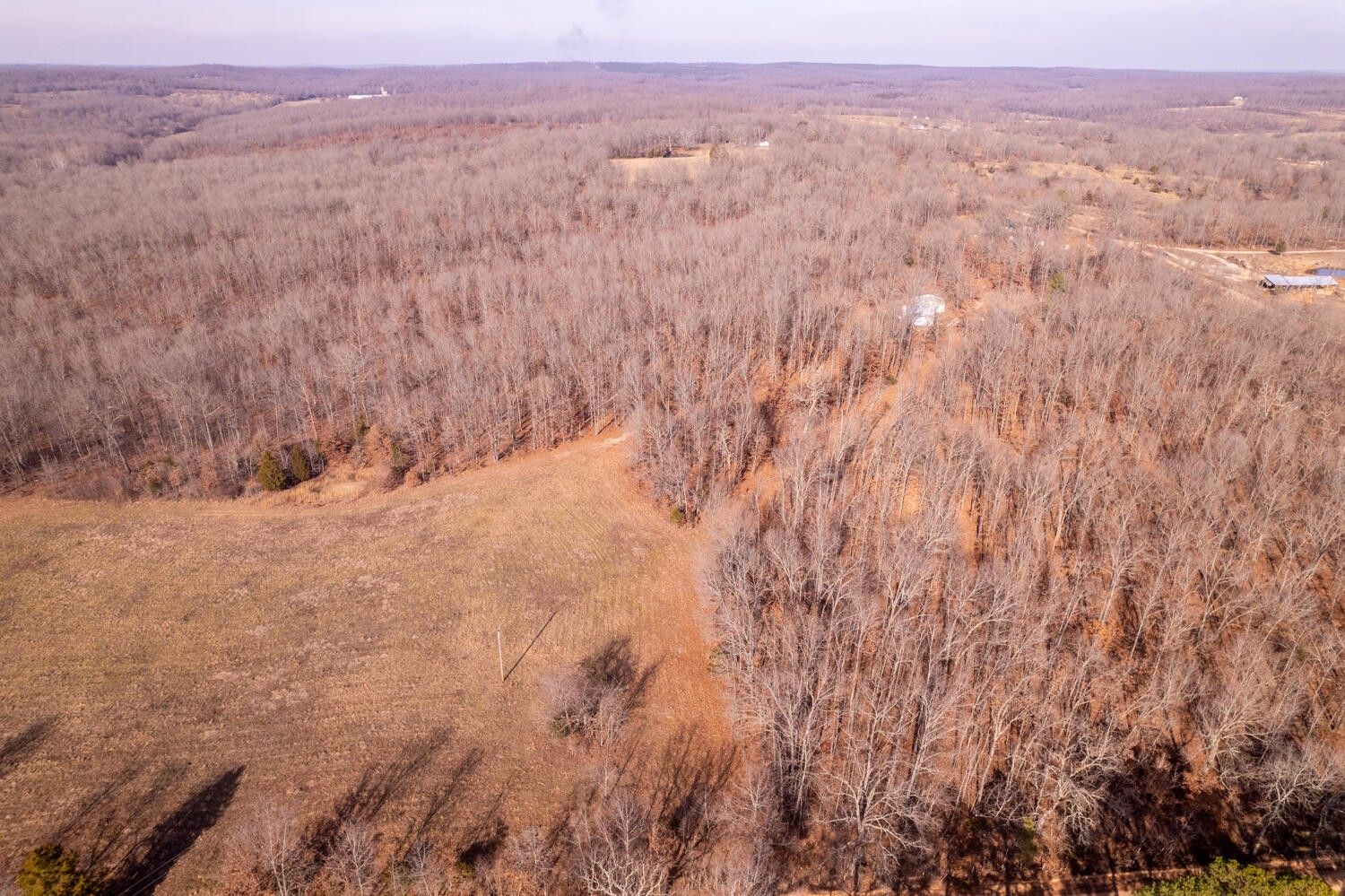 Alton, Oregon County, MO Farms and Ranches for sale Property ID 416142573 LandWatch