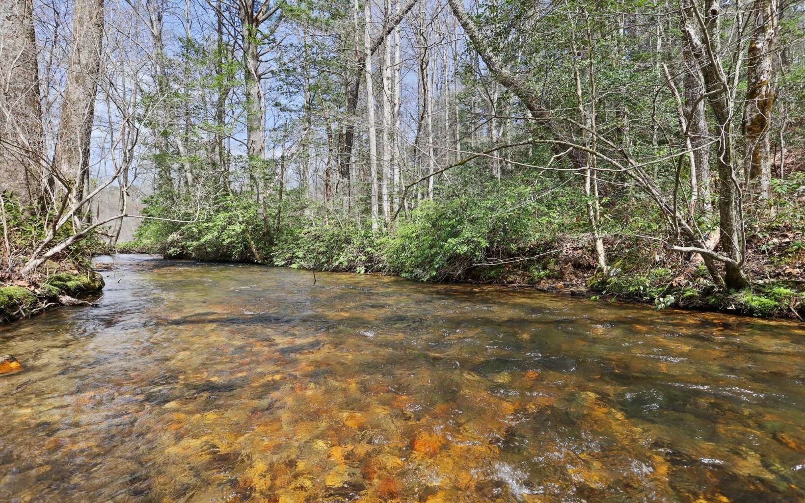 Blue Ridge, Fannin County, GA Undeveloped Land for sale Property ID