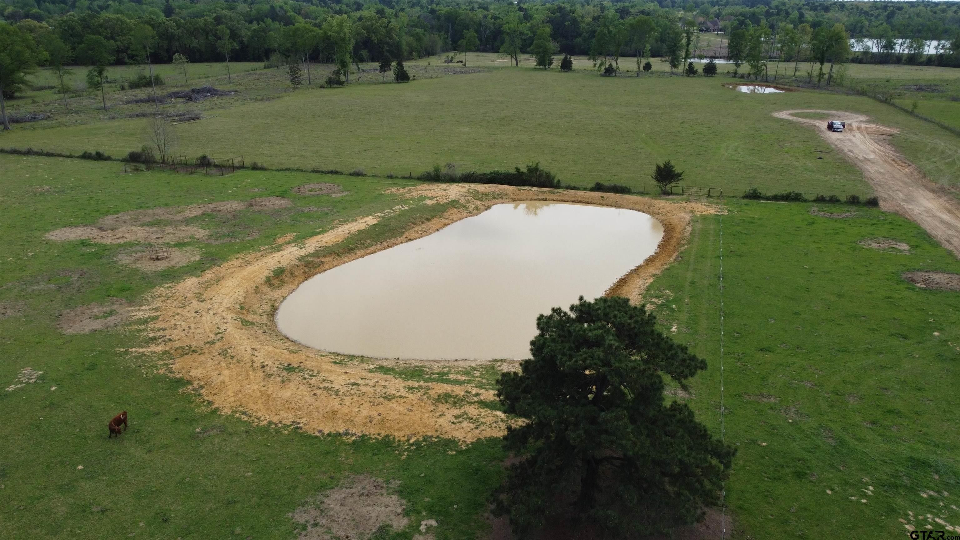 Quitman, Wood County, TX Farms and Ranches for sale Property ID