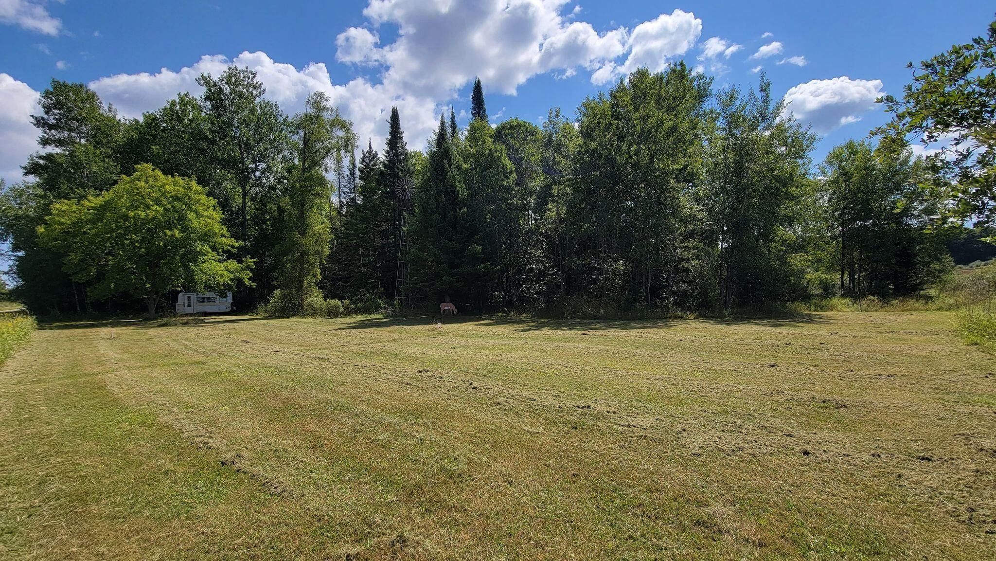 Lincoln, Alcona County, MI Farms and Ranches, Homesites for sale Property ID 416145197 LandWatch