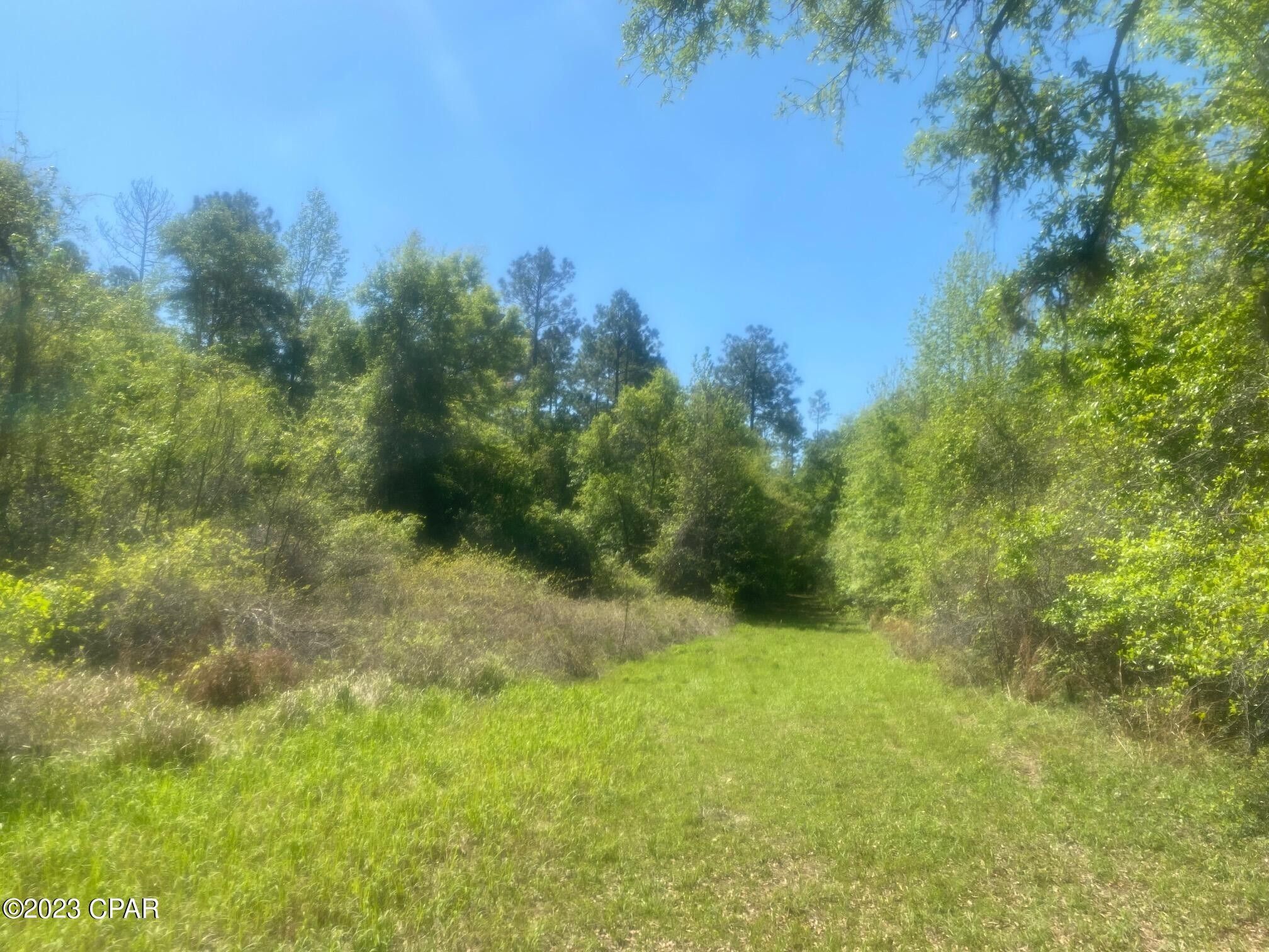 Malone, Jackson County, FL Undeveloped Land for sale Property ID