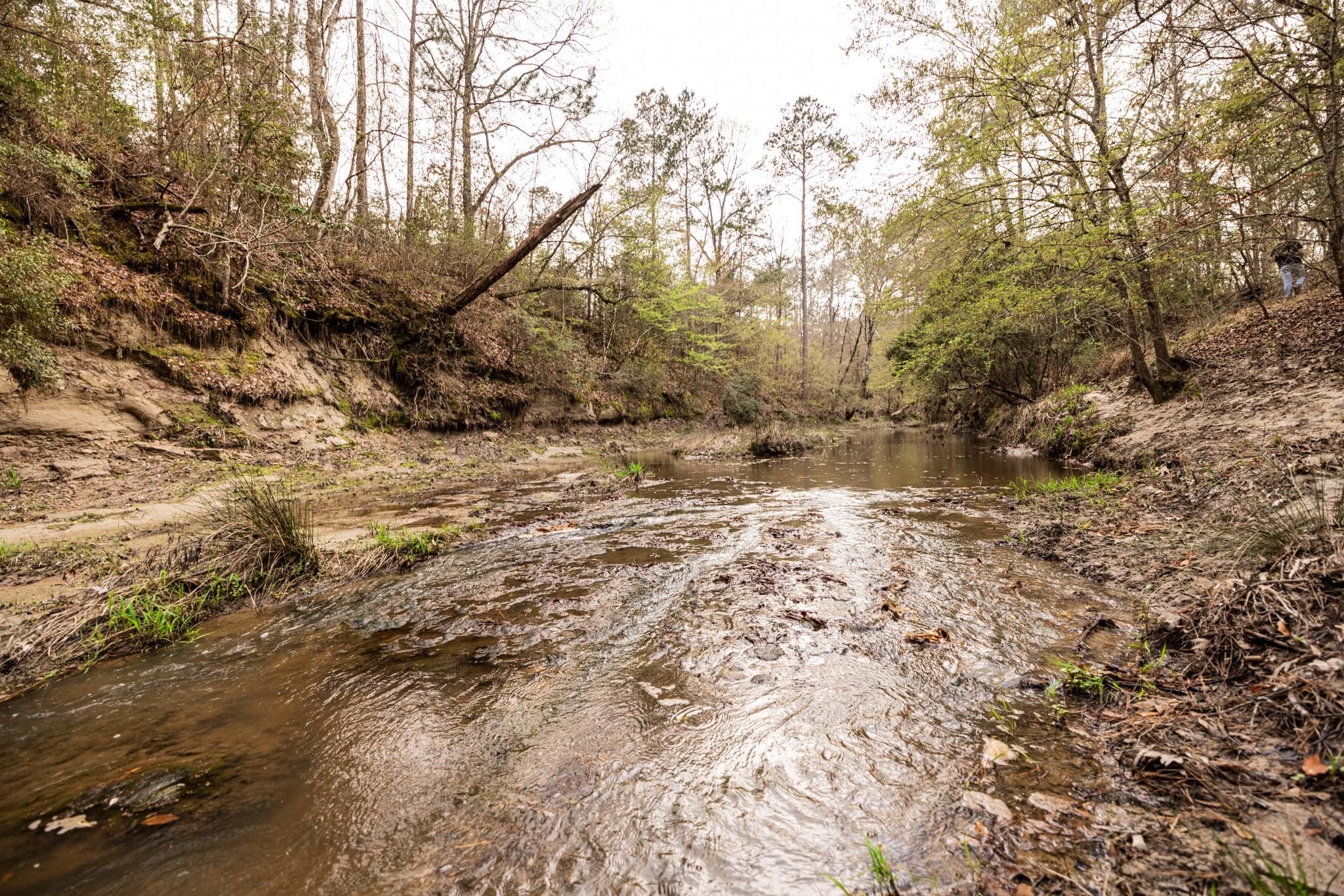 Josserand Rd, Groveton, TX 75845 LandWatch