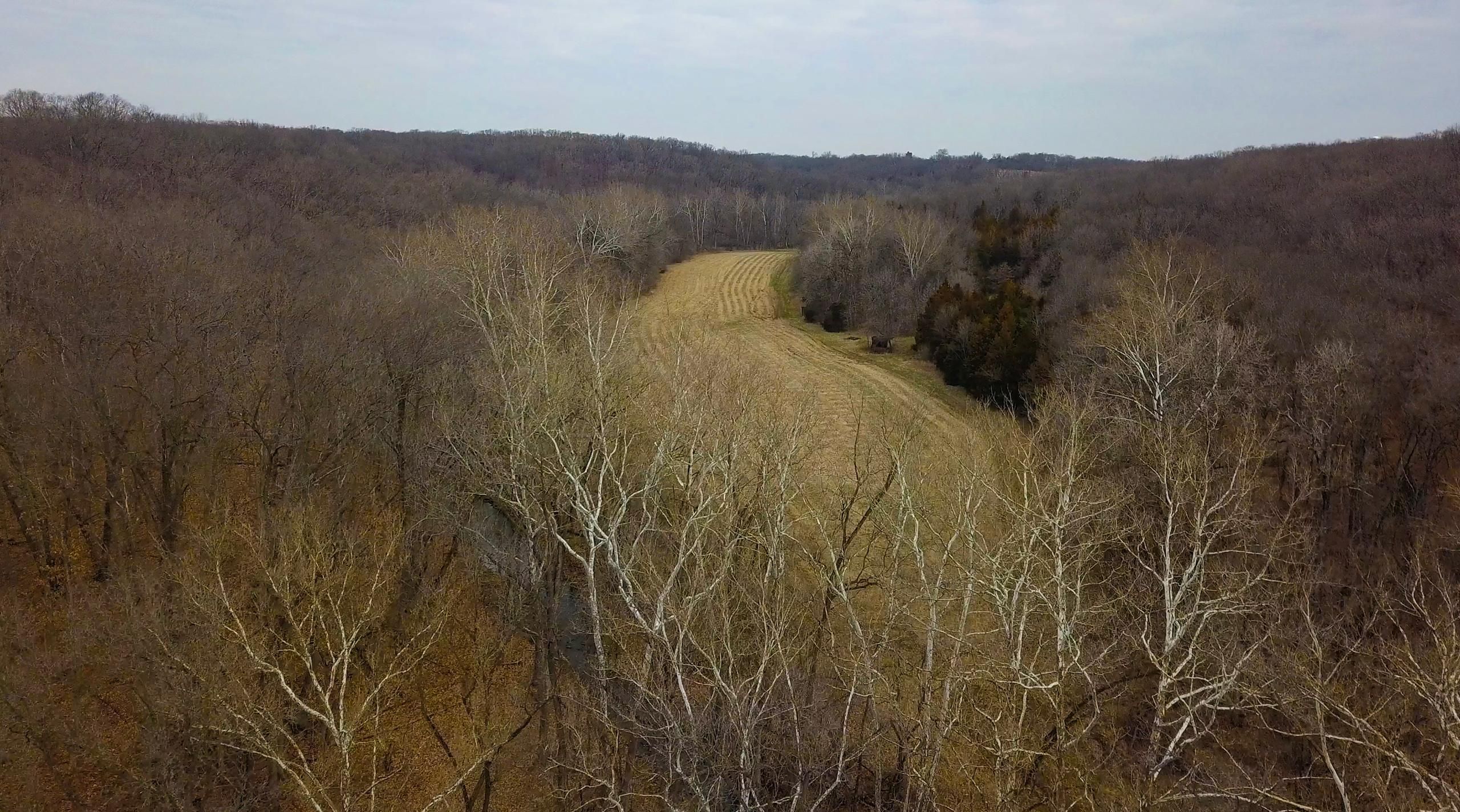 Philadelphia, Marion County, MO Recreational Property, Timberland
