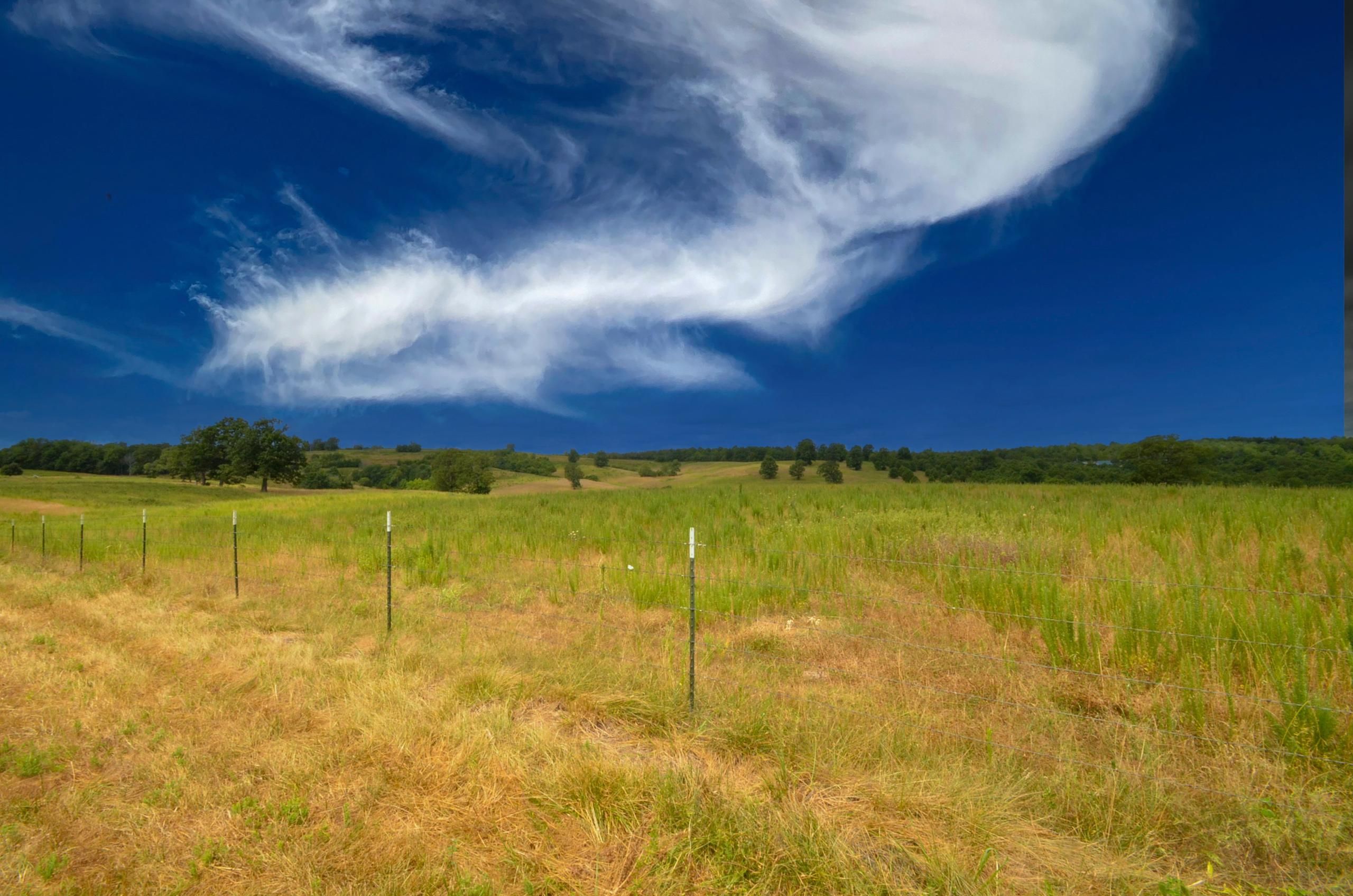 Gainesville, Ozark County, MO Farms and Ranches, Timberland Property