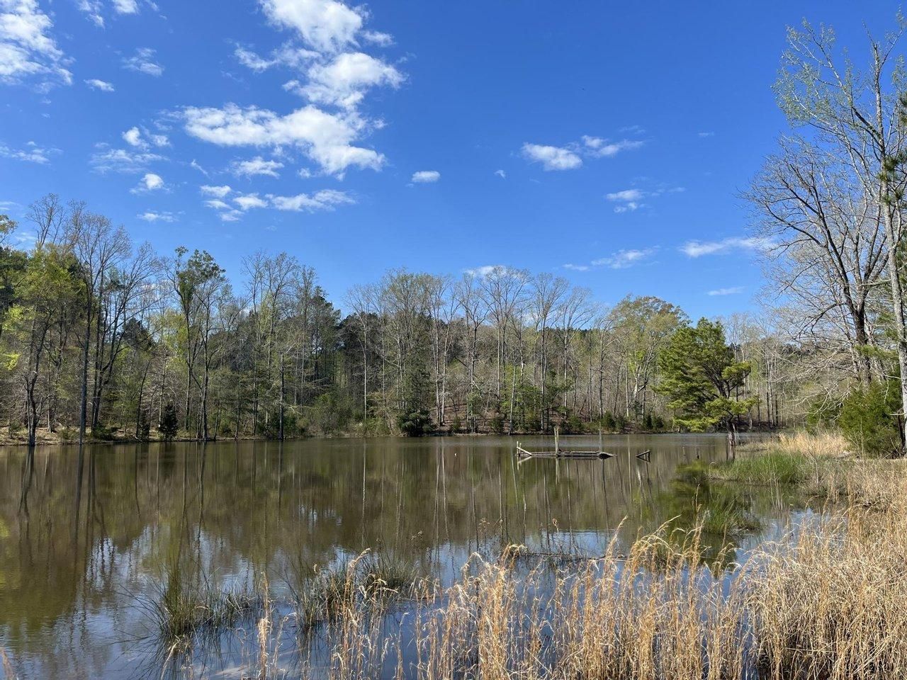 Hwy 12 E, Caledonia, MS 39740 LandWatch