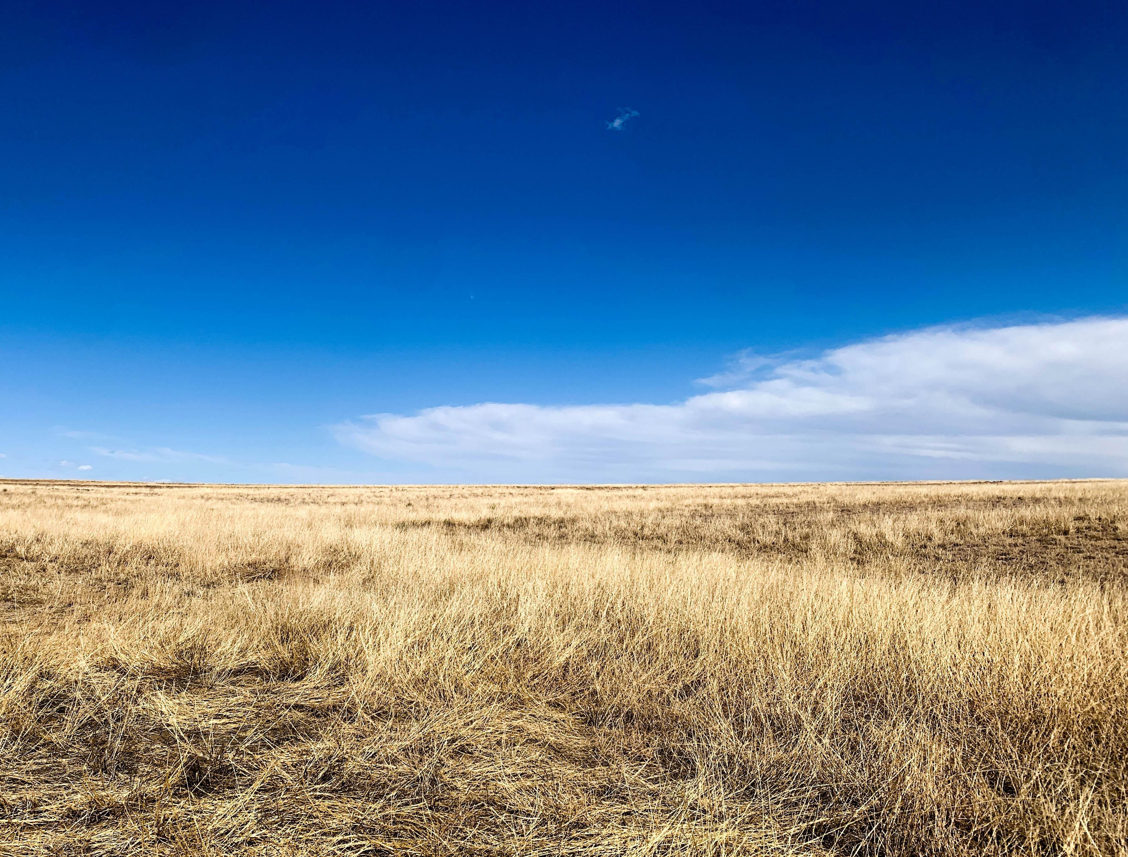 Beaver, Beaver County, OK Farms and Ranches, Undeveloped Land, Hunting