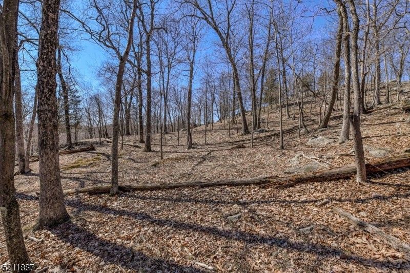 Erskine, Passaic County, NJ Undeveloped Land for sale Property ID 416137690 LandWatch