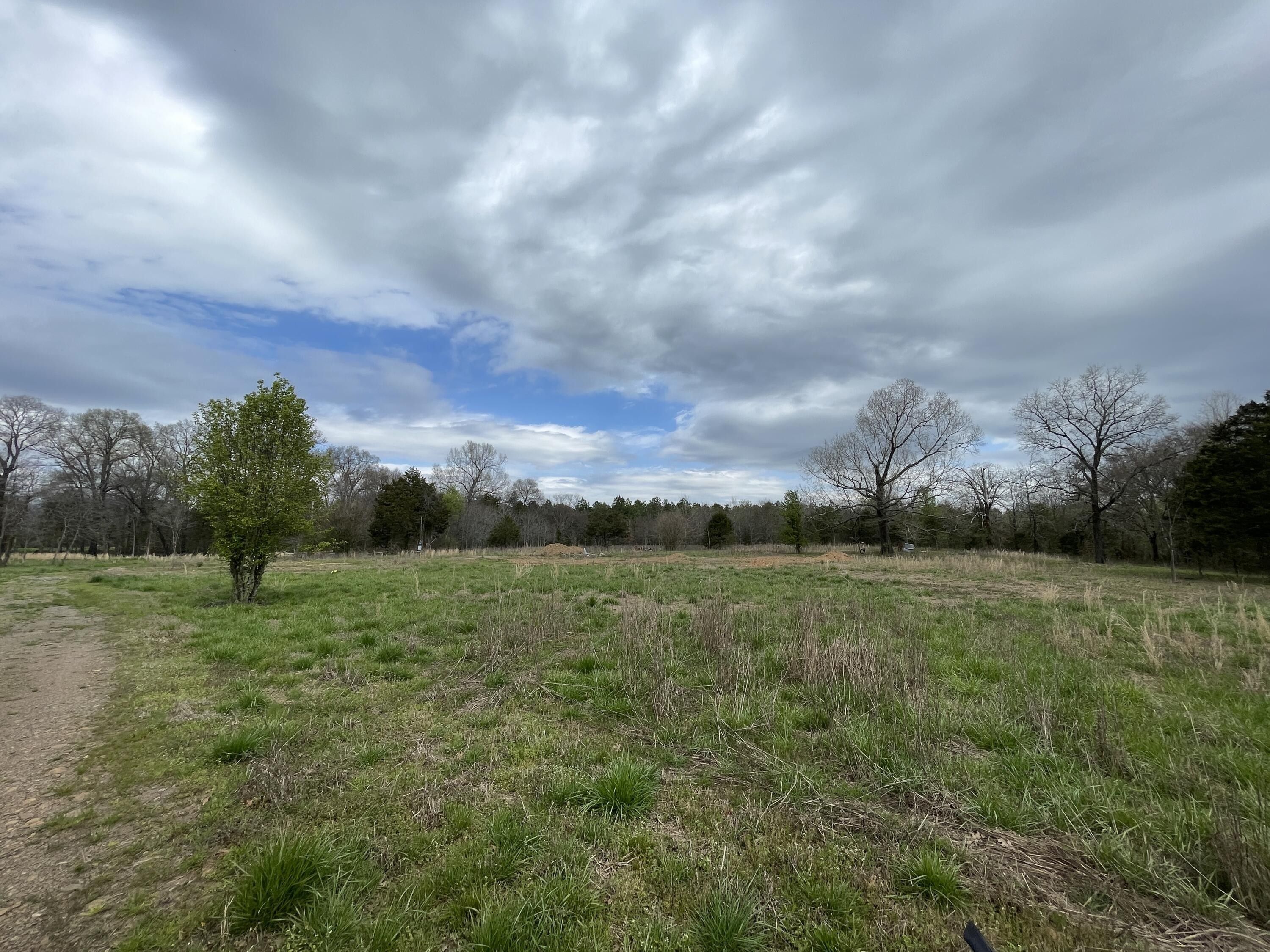 Dardanelle, Yell County, AR Farms and Ranches for sale Property ID