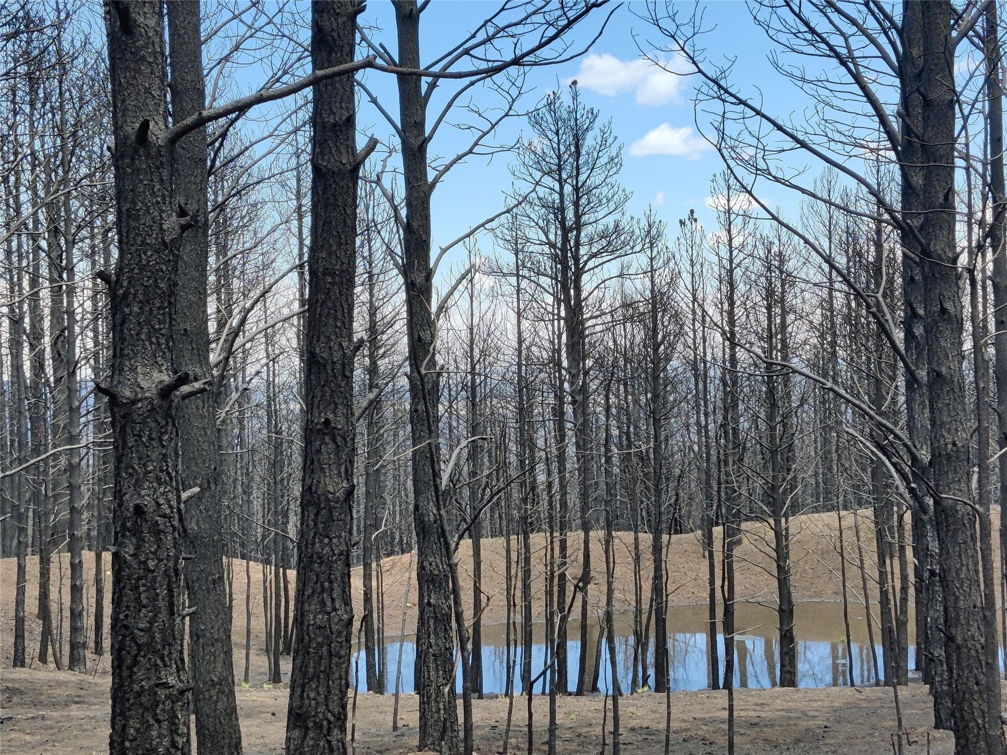 Mineral Hill, San Miguel County, NM Farms and Ranches for sale Property