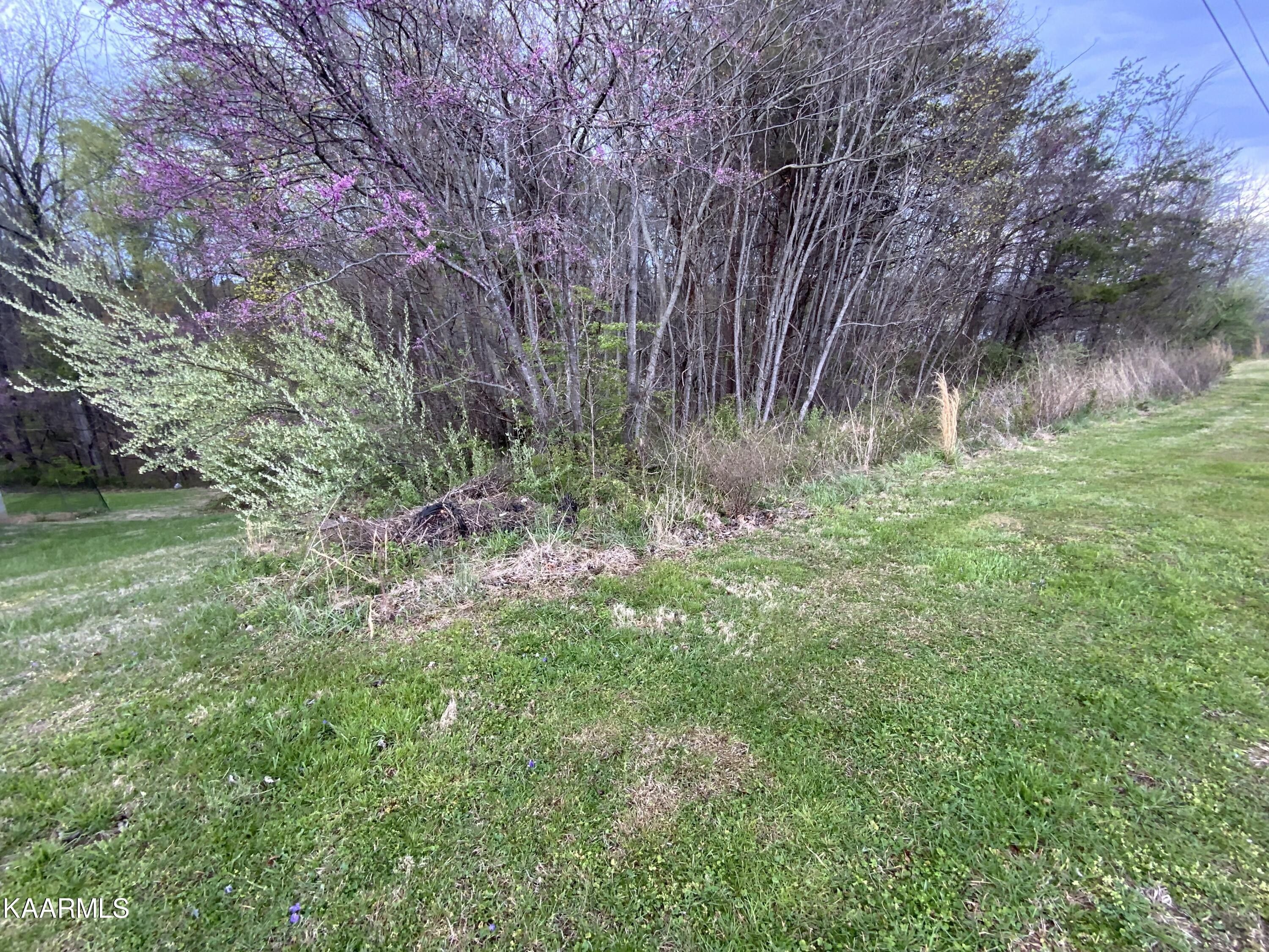 Rocky Top, Anderson County, TN Homesites for sale Property ID